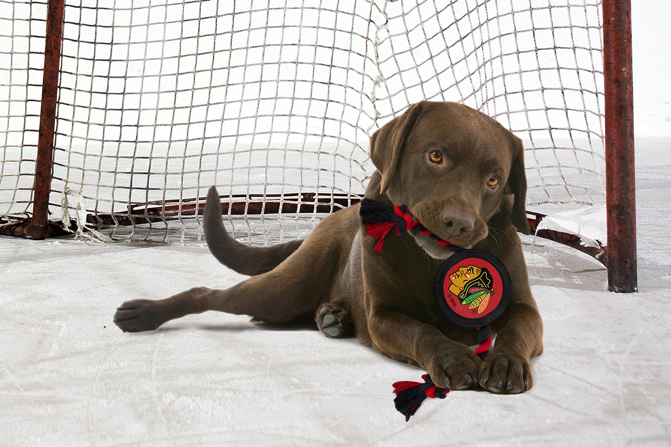 Pets First Rubber Dog Toy - Heavy-Duty Rope Tug With Nhl Chicago Blackhawks Puck. Play Hockey With Your Pet!