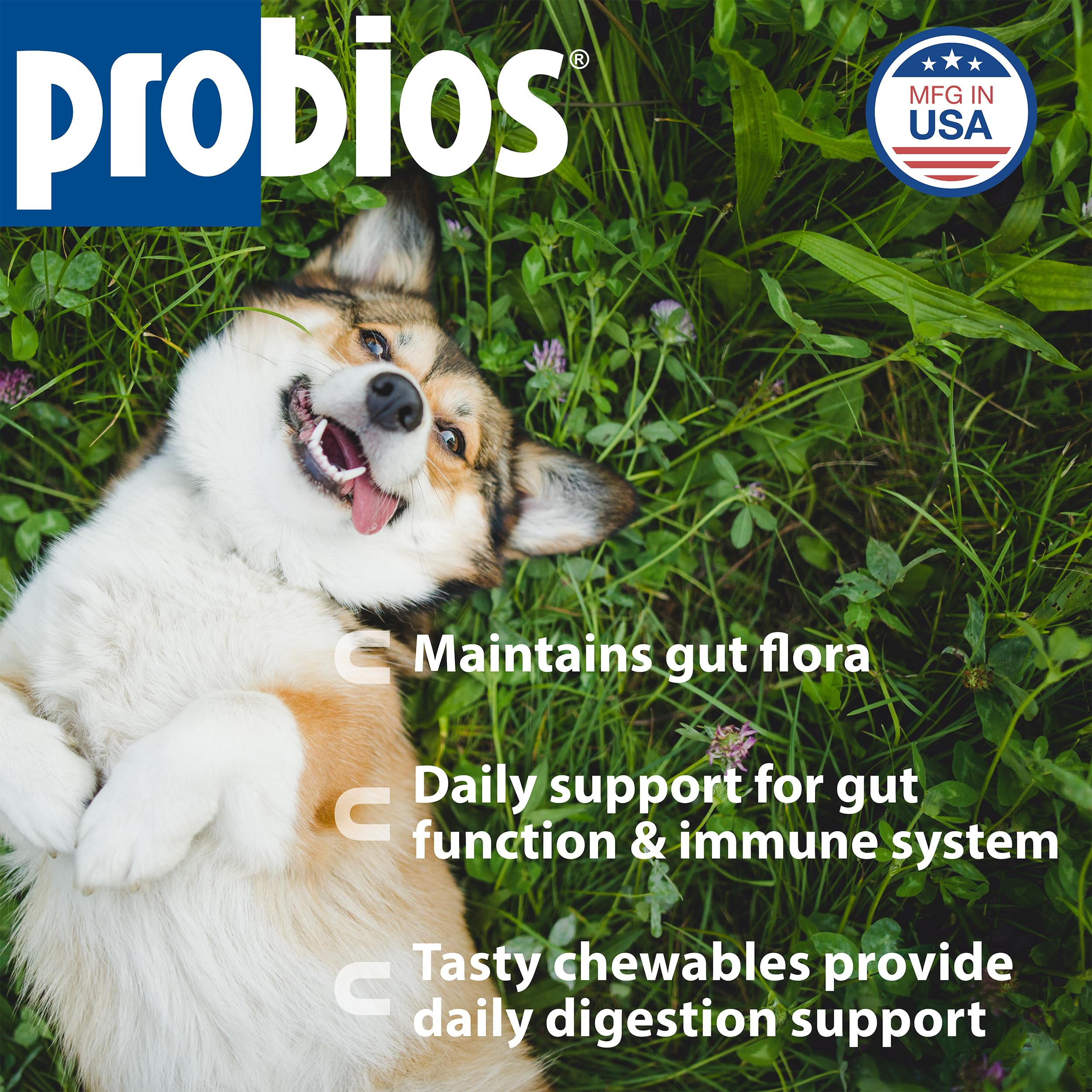 Probios Dog Treats - Digestion Support - 1lb Pouch