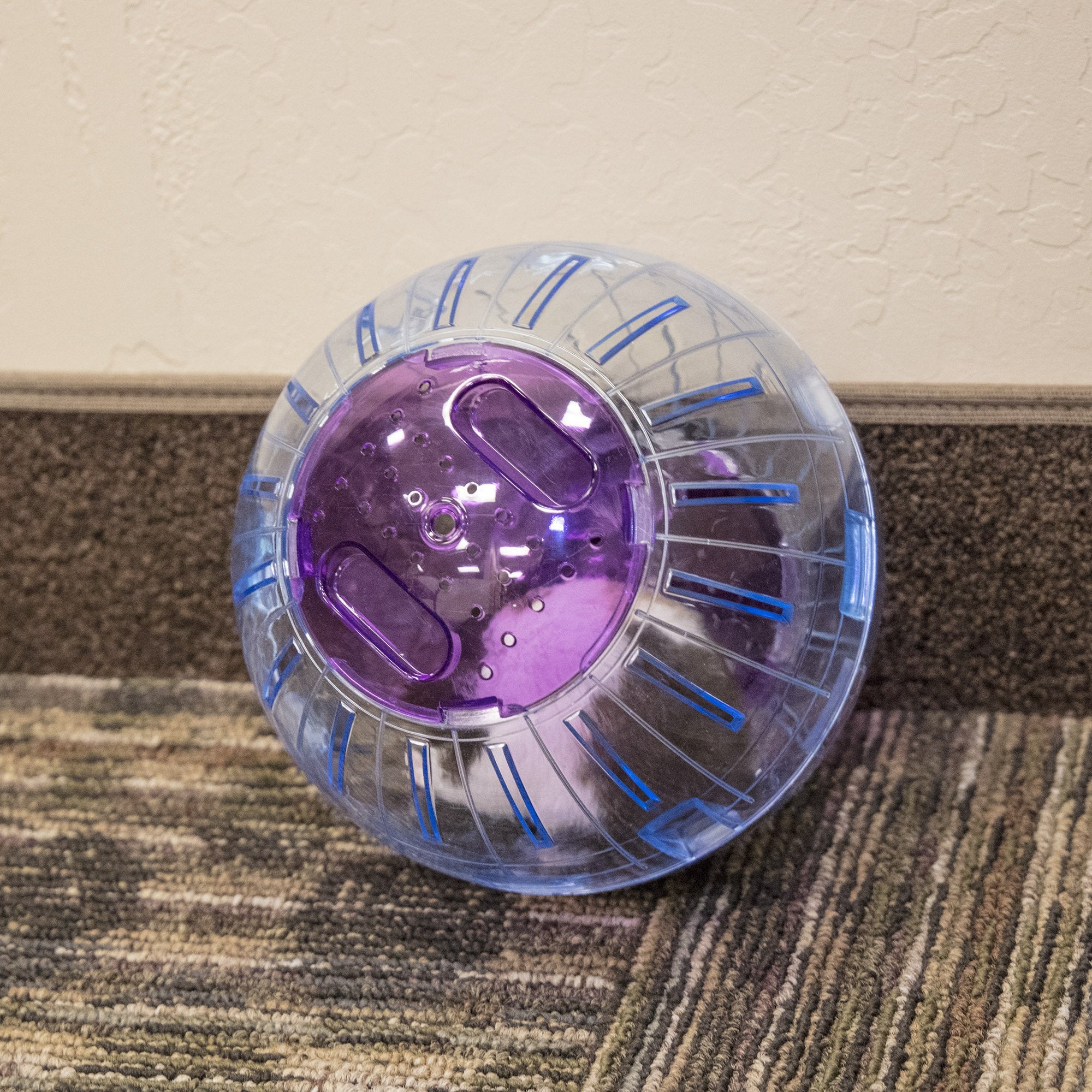 Ware Manufacturing3261 Roll-N-Around Small Pet Rolling Ball Toy, Medium, Clear