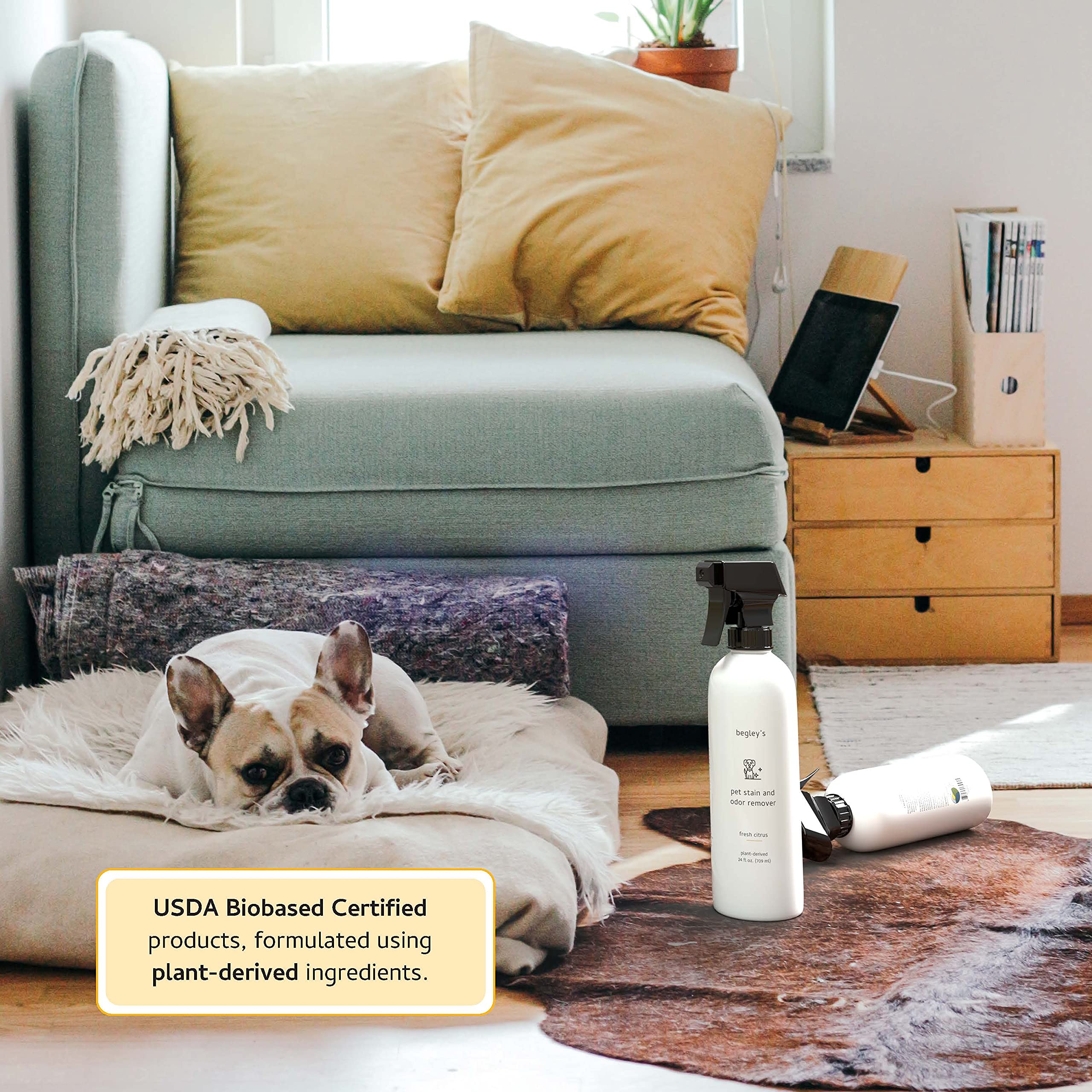 Begley'S Pet Stain And Odor Remover - Pet Odor Eliminator For Home - Pet Urine Enzyme Cleaner - Pet Carpet Cleaner For Pets - Enzymatic Cleaner For Dog Urine, Cat Pee, Feces - 24 Ounce, 2 Pack