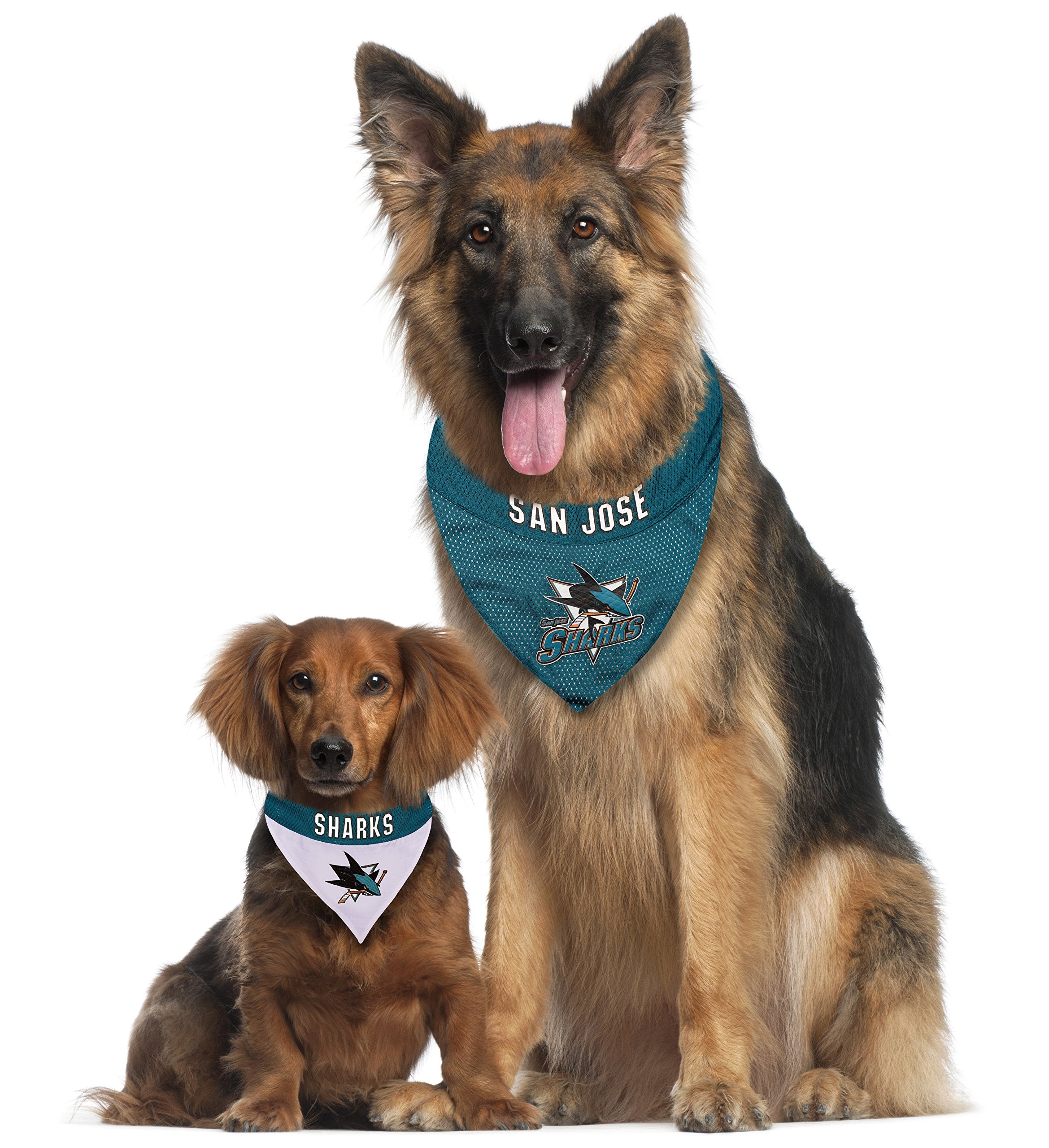 NHL San Jose Sharks Bandana for Dogs & Cats, Small/Medium. - Cute & Stylish Bandana! The Perfect Hockey Fan Scarf Bandana, Great