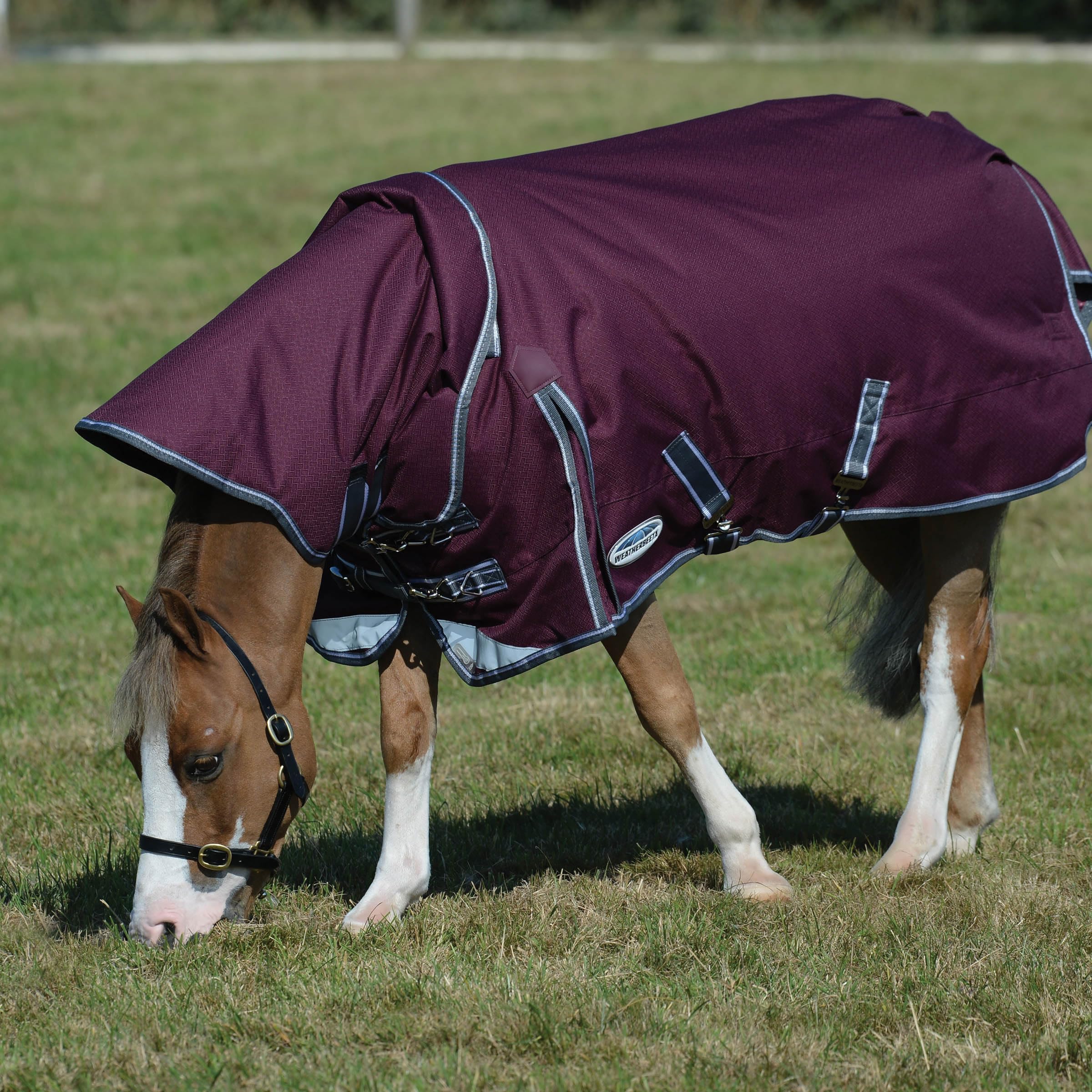 Weatherbeeta Comfitec Plus Dynamic Ii Detach-A-Neck Medium, Maroon/Grey/White, 54''