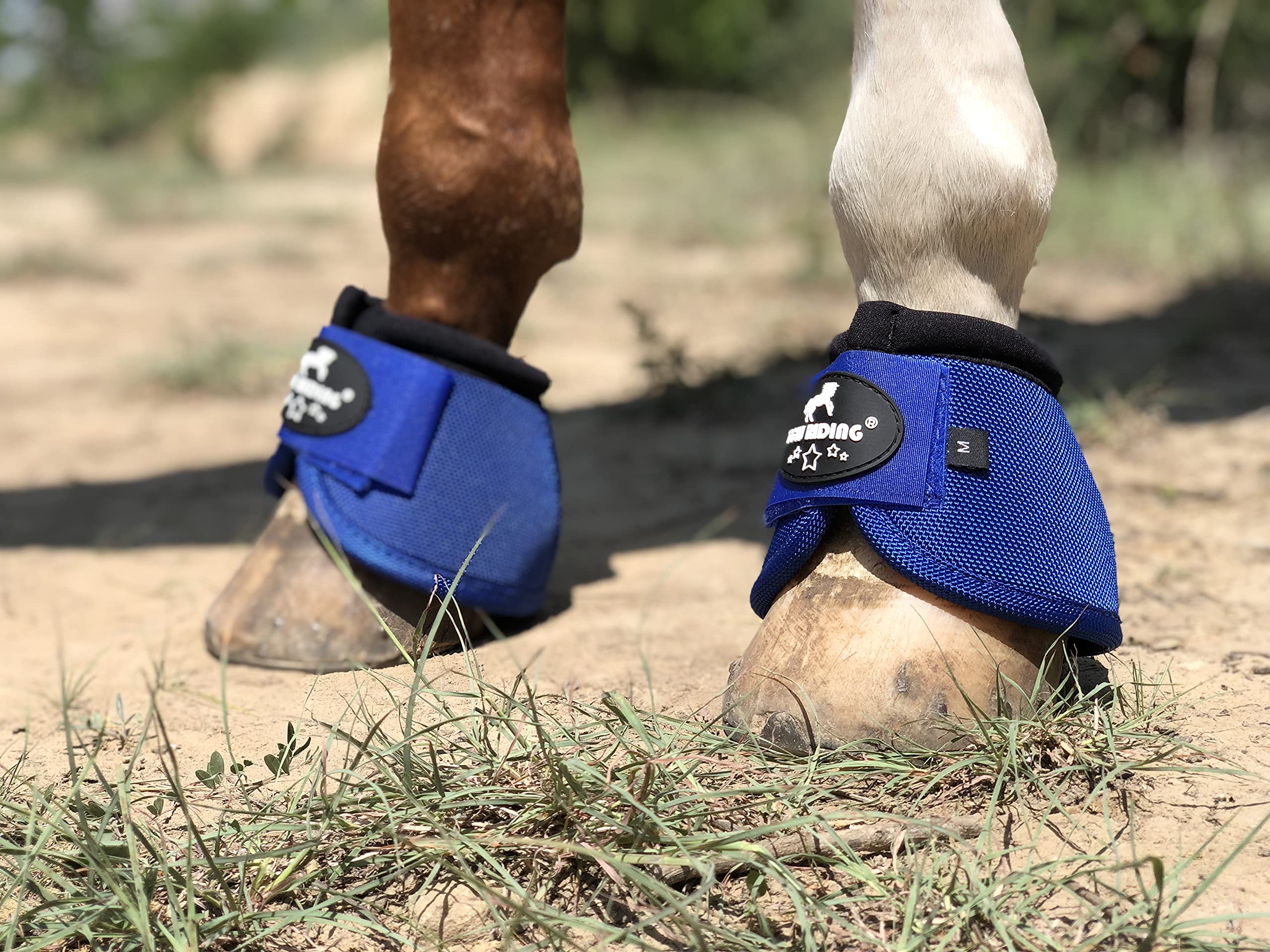 Tgw Riding 2520D Horse Bell Boots No-Turn Horse Bell Boots, Equine Ballistic Hoof Overreach Bell Boot, Pair (Royal Blue, S)