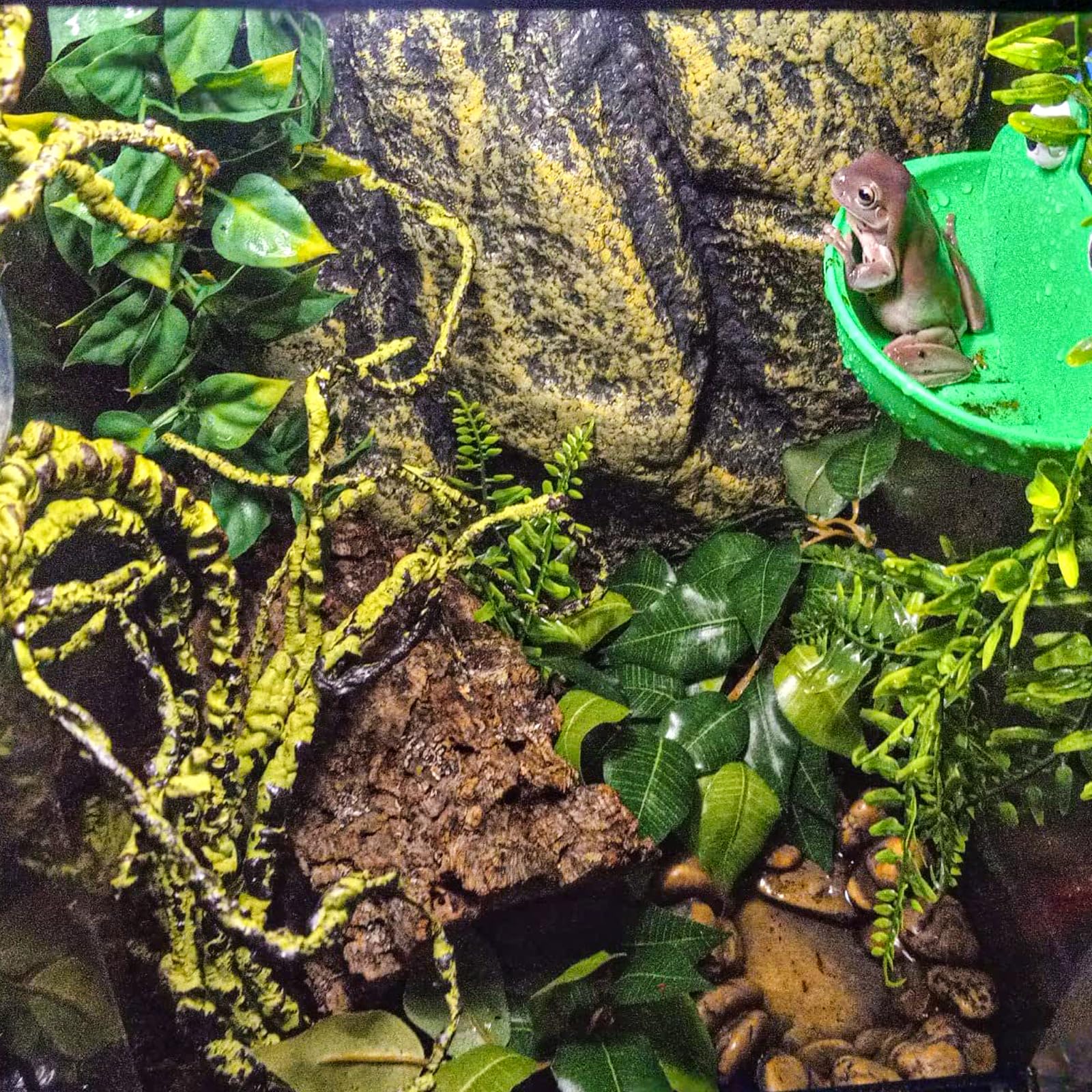 Mechpia Repitle Plants for Terrarium, Terrarium Hanging Plants Artificial Leaves Reptile Hide Flexible Jungle Vines Tank Accesso