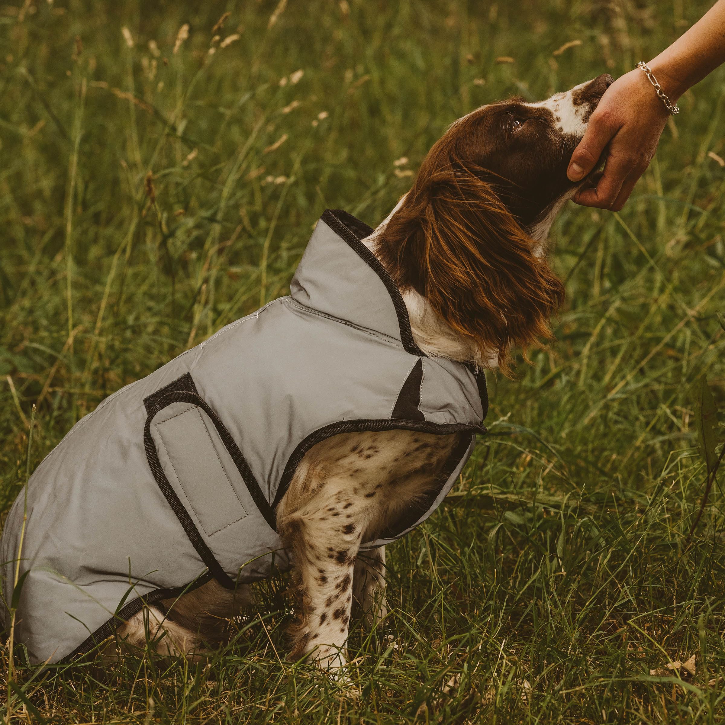 Weatherbeeta Comfitec Reflective Dog Coat Medium, Silver, 20''