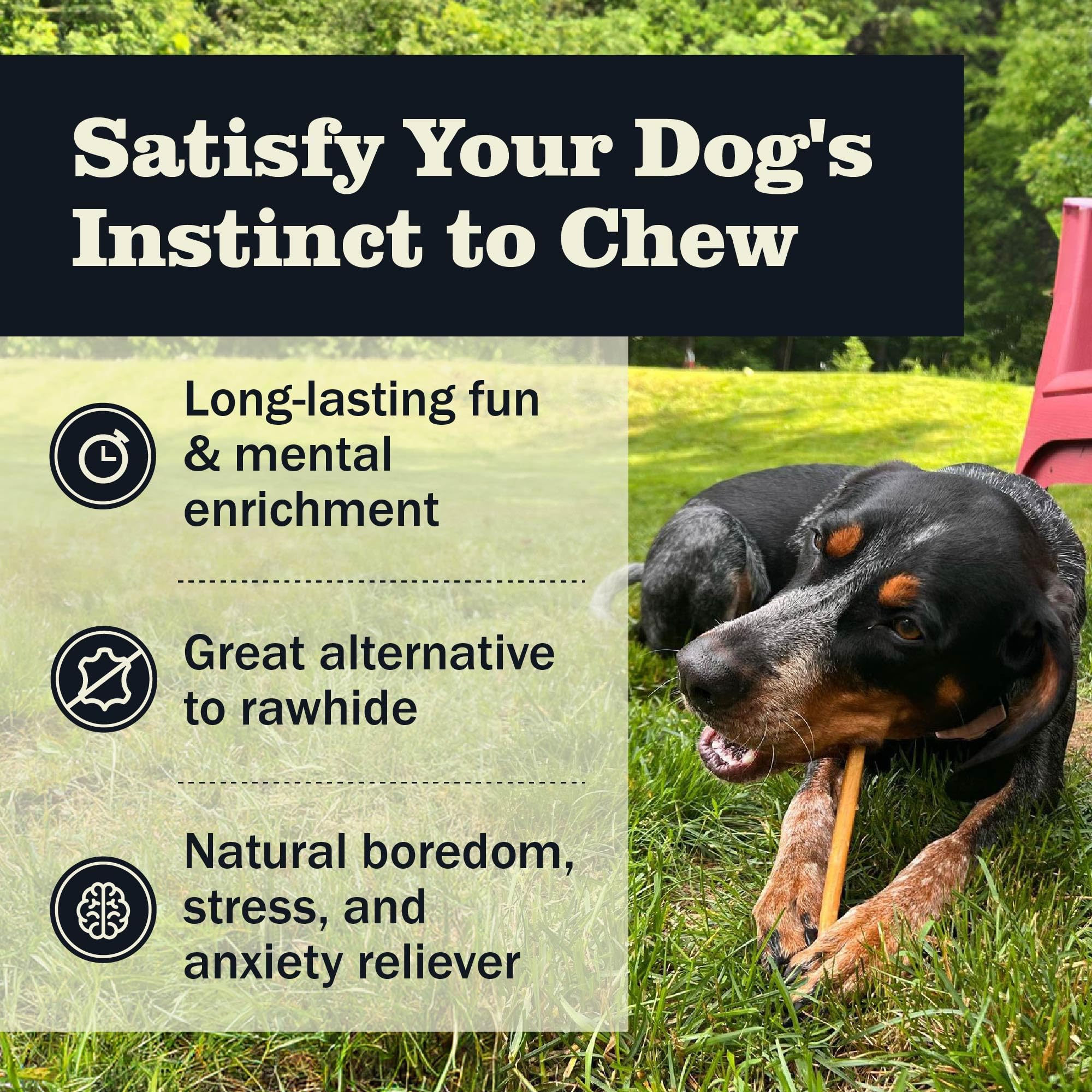 Redbarn Pet Products All Natural 5-8 Bully Sticks for Small & Large Dogs - Healthy Long Lasting Chews Variety Party Pack - 100%