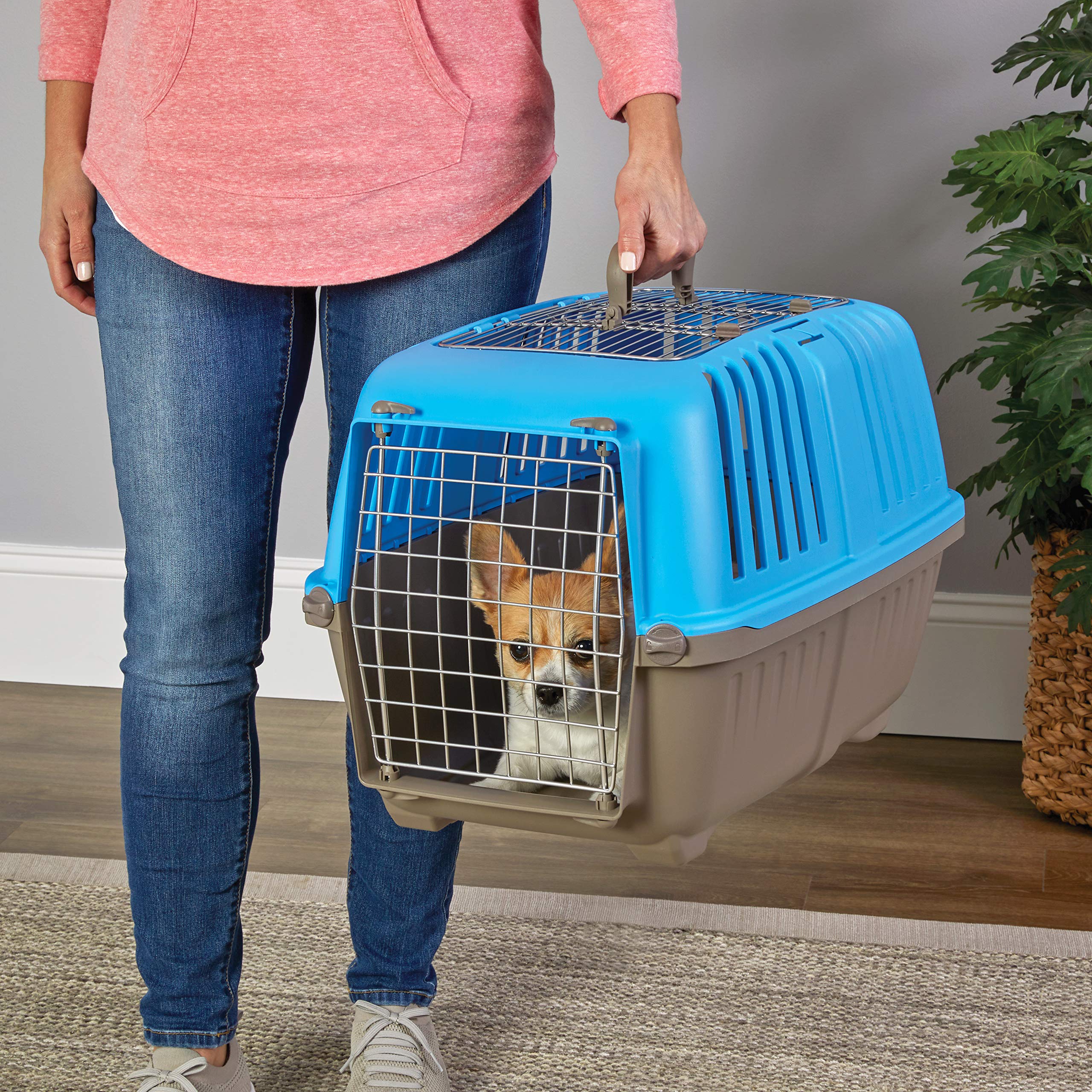 Midwest Homes For Pets Spree Travel Pet Carrier, Dog Carrier Features Easy Assembly And Not The Tedious Nut & Bolt Assembly Of C