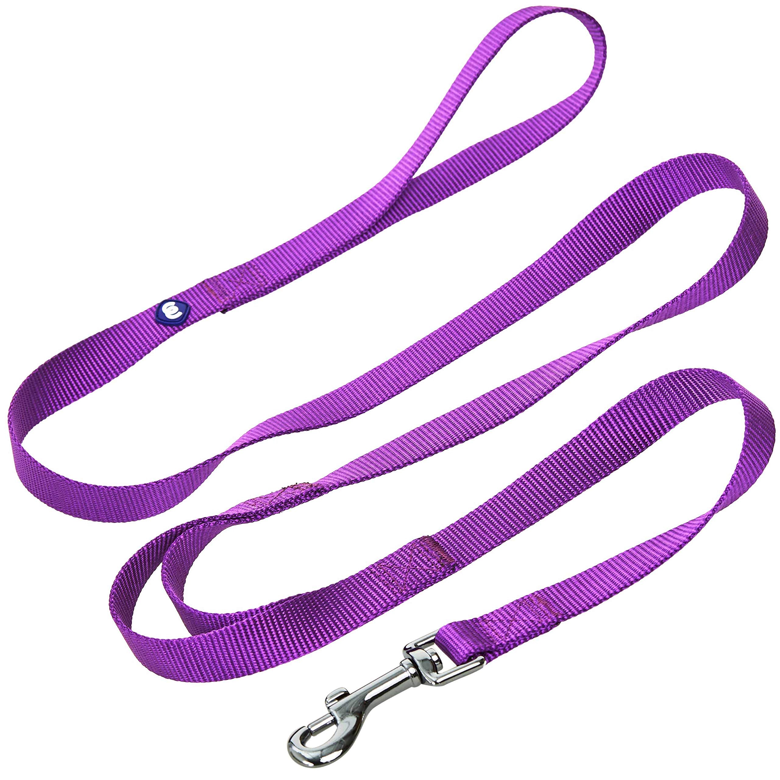 Blueberry Pet Essentials Durable Classic Dog Leash 5 Ft X 3/8', Dark Orchid, X-Small, Double Handle Leashes For Puppies
