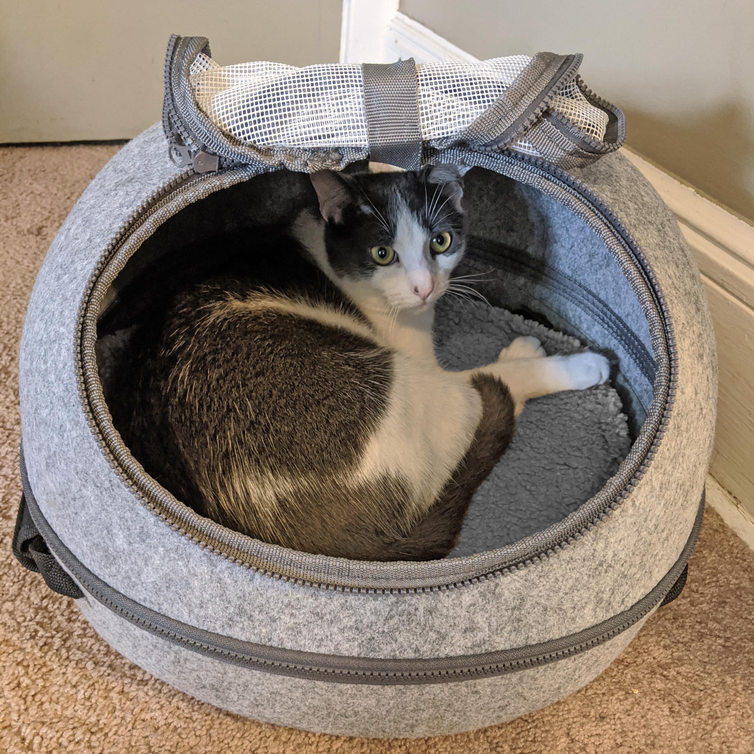 Spot Doc & Phoebe’S 3-In-1 Sleep & Go Cat Carrier | Portable Pet Travel Bag For Cats And Small Dogs | Converts To Carrier, Cozy Cave And Comfy Bed | Adjustable Shoulder Strap Perfect For Vet Visits