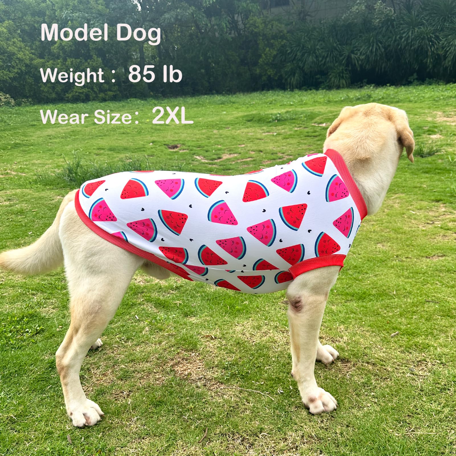 Dog Sleeveless T Shirt Fun Fruit Prints Dog Vest Shirt Soft Stretchy Summer Clothes for Extra Large Dog Boys Girls Shirt (3X-Lar
