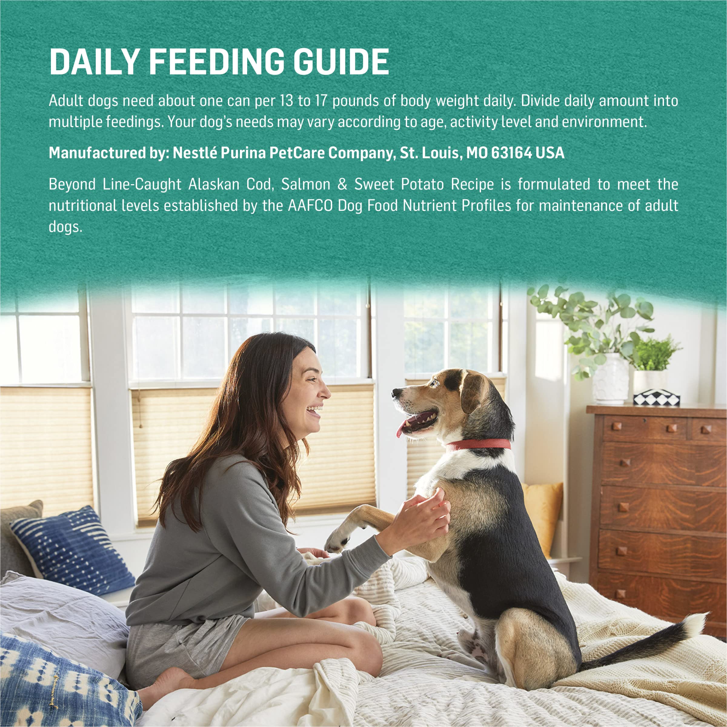 Purina Beyond Cod, Salmon and Sweet Potato Natural Ground Grain Free Wet Dog Food Pate - (Pack of 12) 13 oz. Cans.