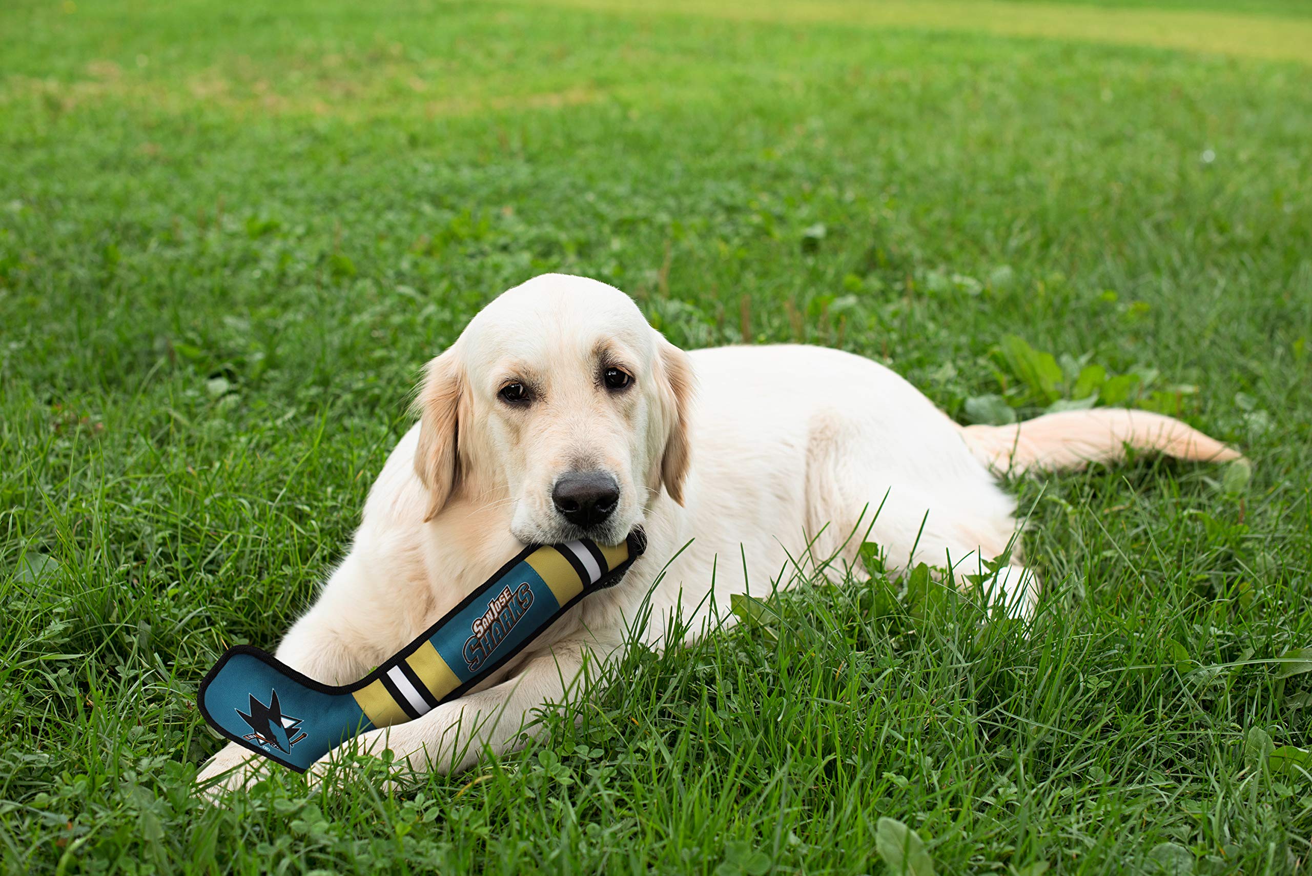 Pets First Nhl San Jose Sharks Stick Toy For Dogs & Cats. Play Hockey With Your Pet With This Licensed Dog Tough Toy Reward!