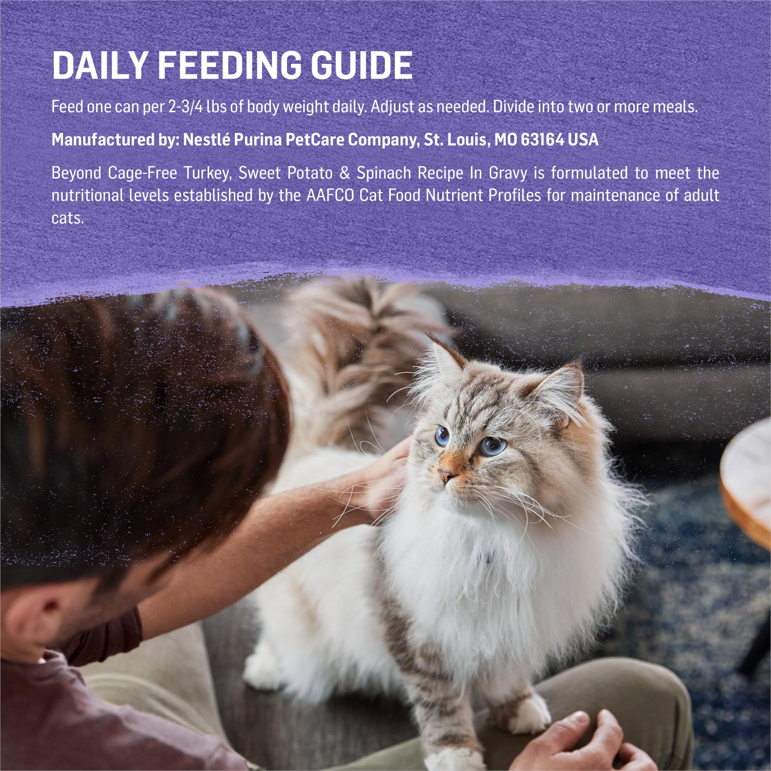 Purina Beyond Cage-Free Turkey, Sweet Potato and Spinach Recipe In Wet Cat Food Gravy - (Pack of 12) 3 oz. Cans