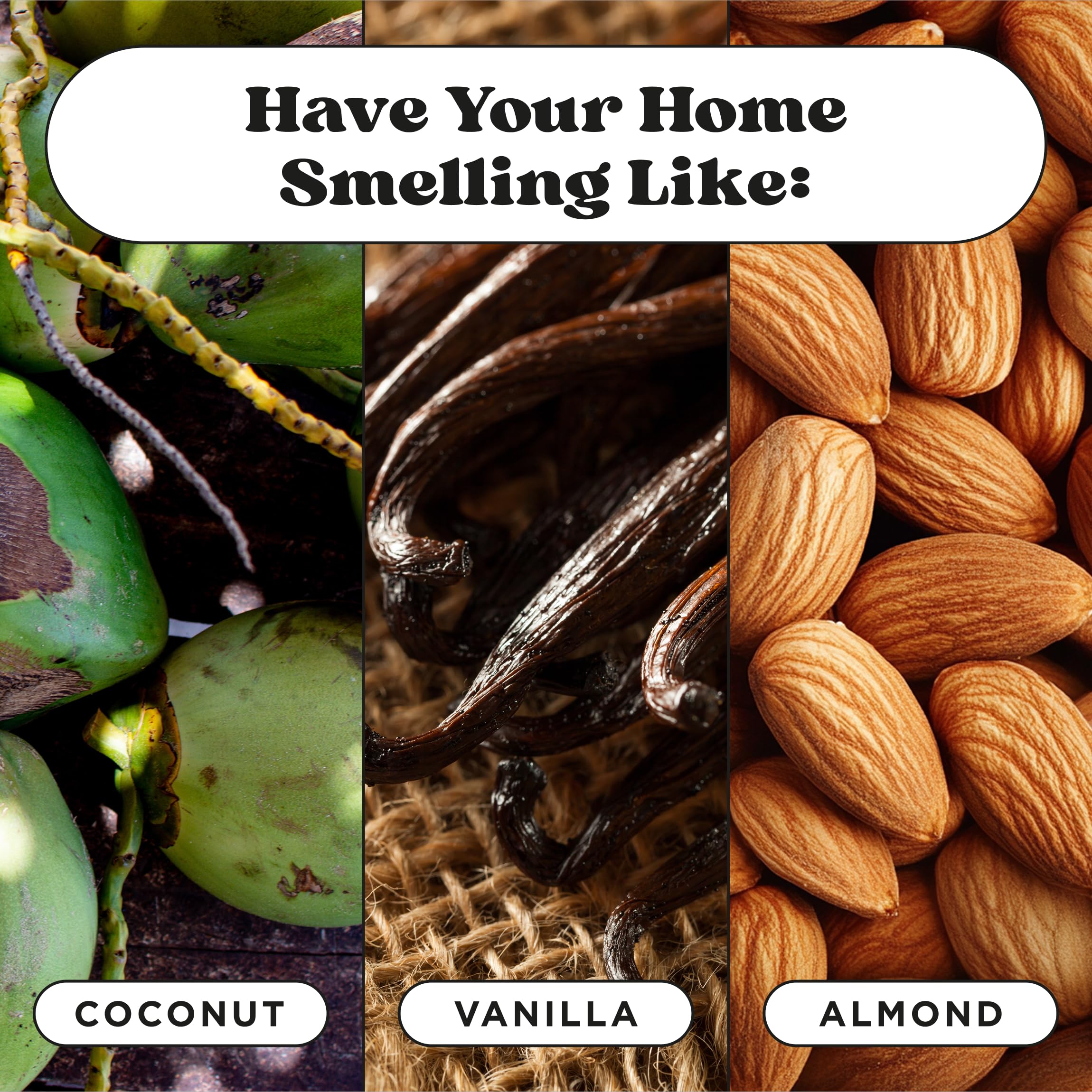 Pet-Pourri Pet Odor Air + Fabric Odor Eliminator Spray, Canine Coconut, 16 Fl Oz