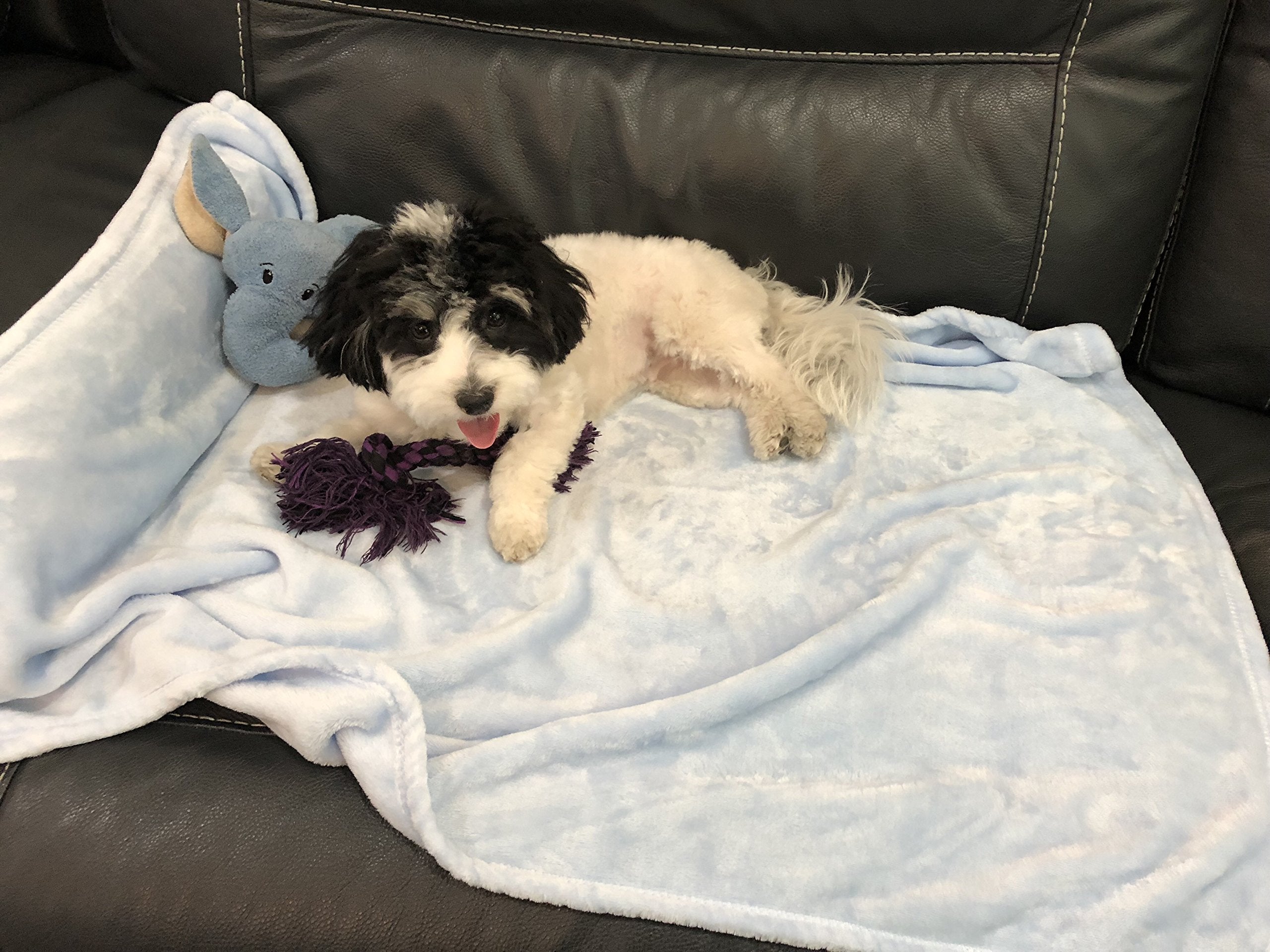 Super Soft Premium Pet Blankets - Best Friend Blue Pet Blanket - 30' X 40' - Designed For Puppies & Kittens - Great For Pet Beds And Carriers