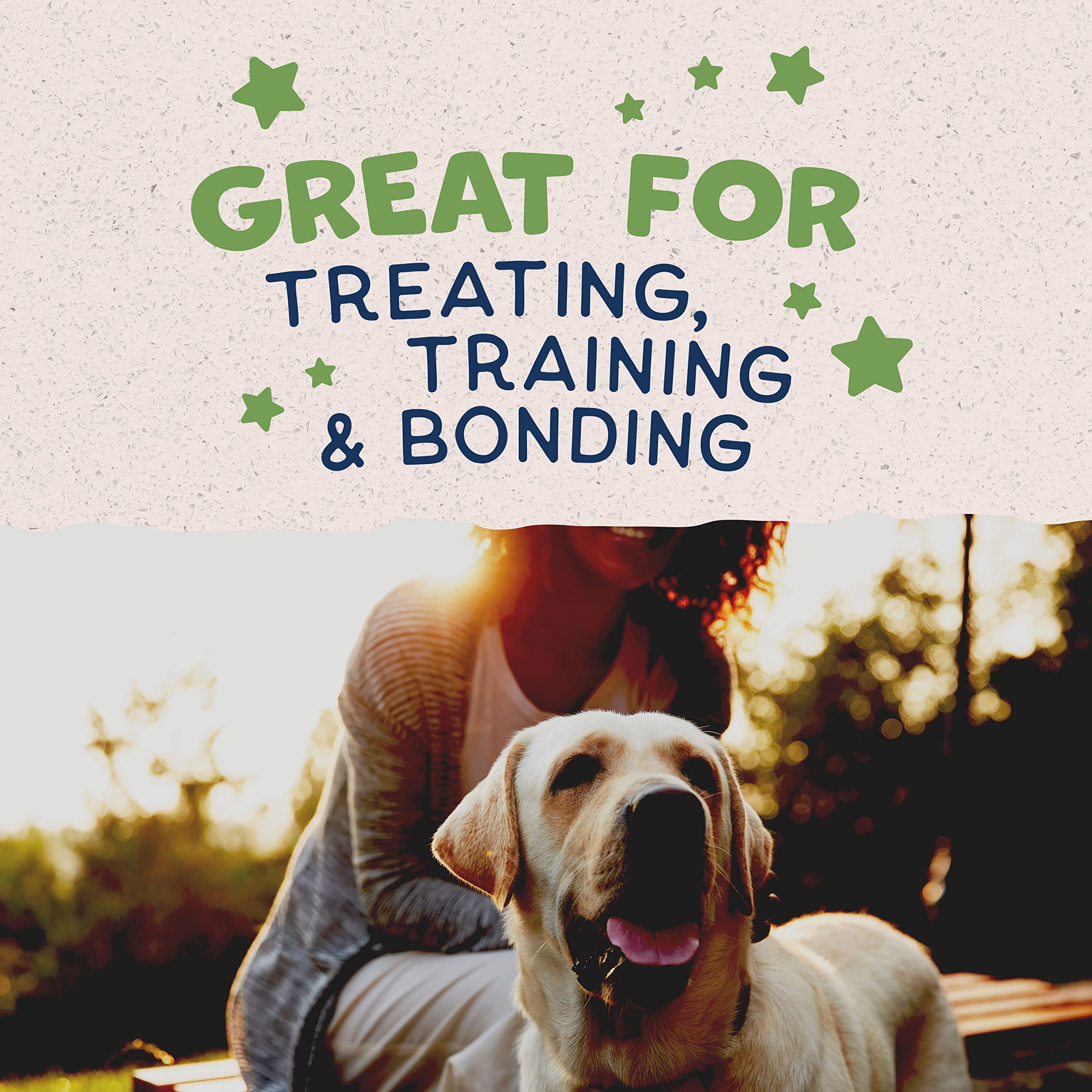 Natural Balance Limited Ingredient Rewards Crunchy Biscuits, Vegetarian Dog Treats for Adult Dogs of All Breeds, Peanut Butter R