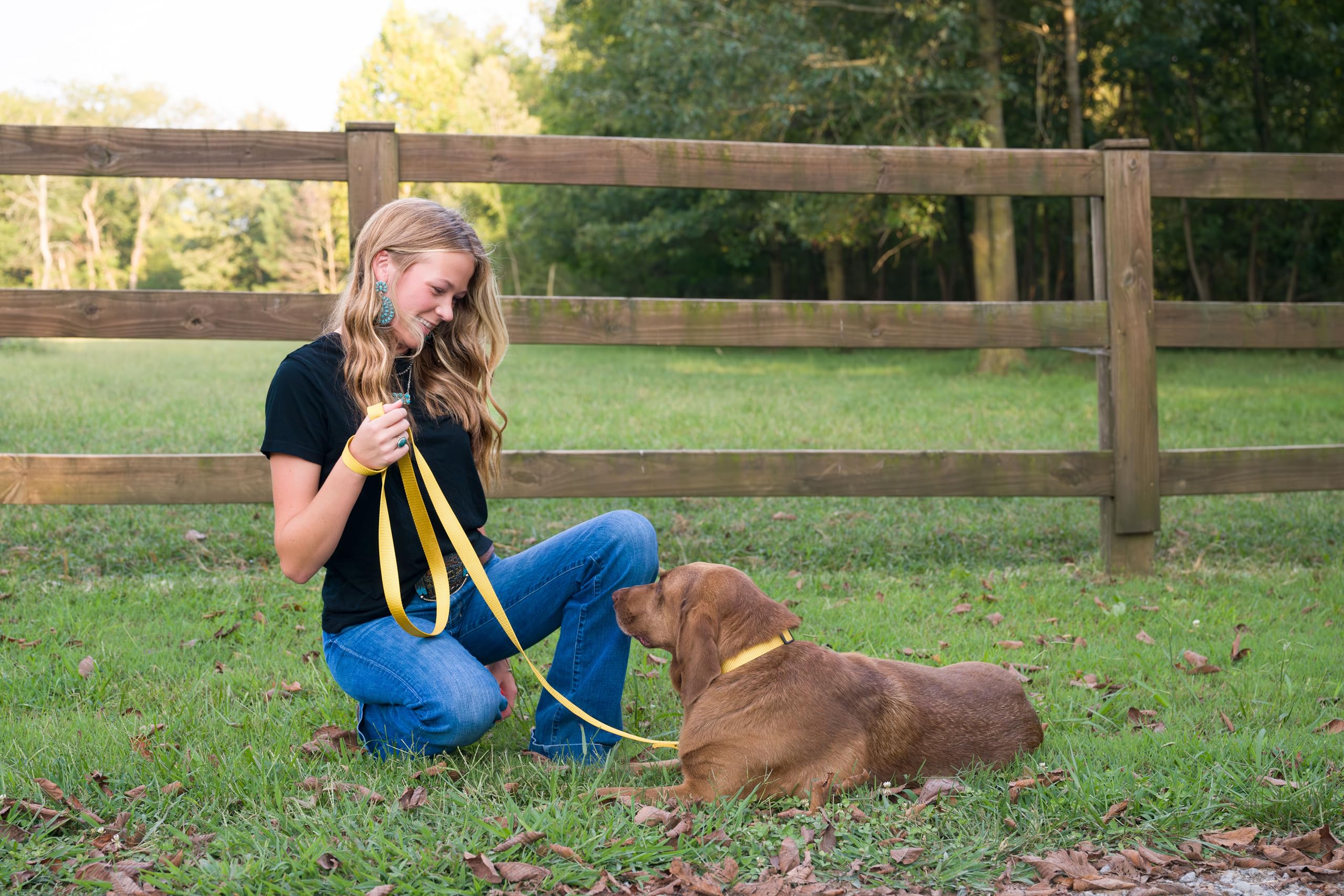 Country Brook Petz - 30+ Vibrant Colors - American Made Deluxe Nylon Dog Collar With Buckle (Mini, 3/8 Inch Wide, Gold)