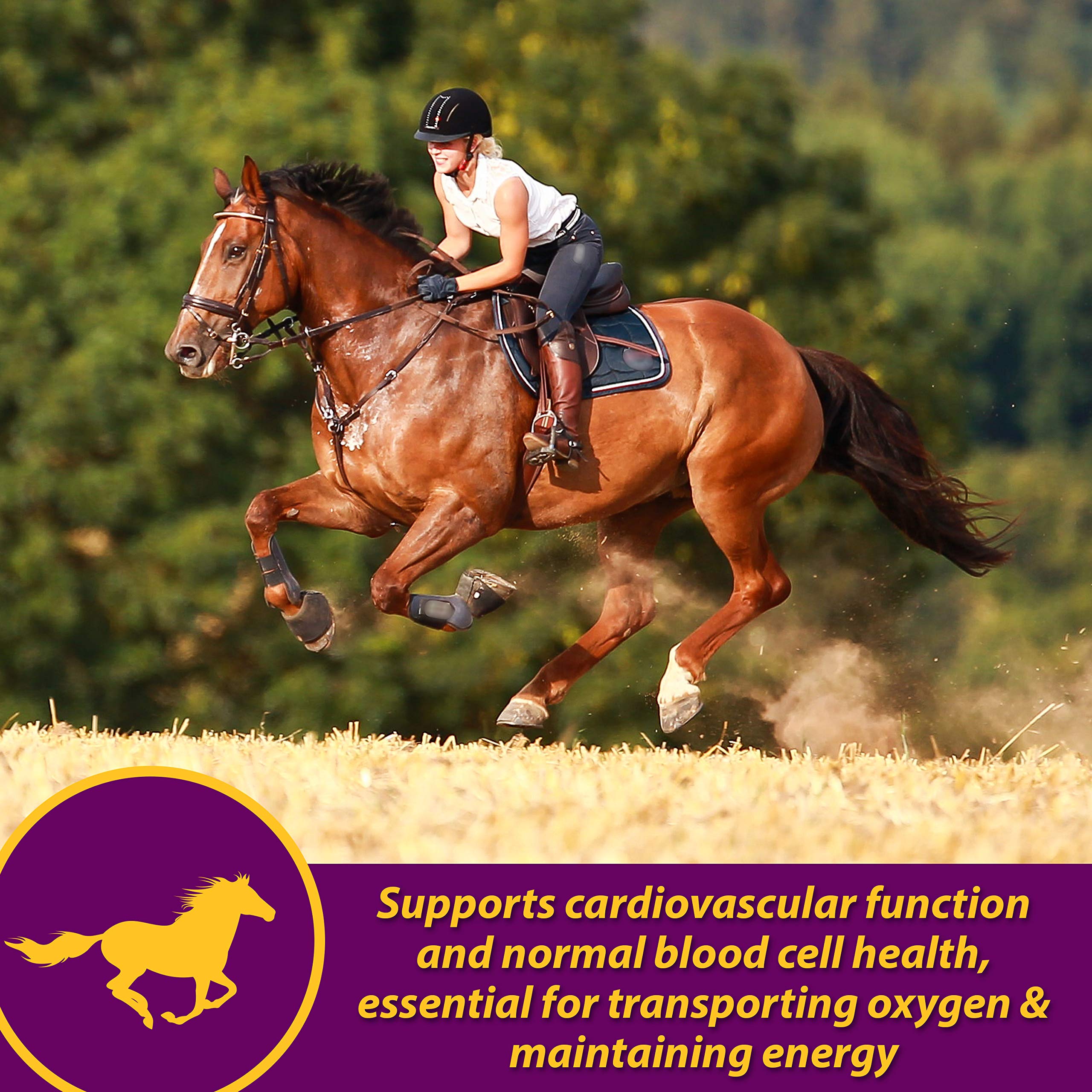 Farnam Horse Health Red Cell Pellets, Vitamin-Iron-Mineral Supplement for Horses, Helps Fill Important Nutritional Gaps in Horse