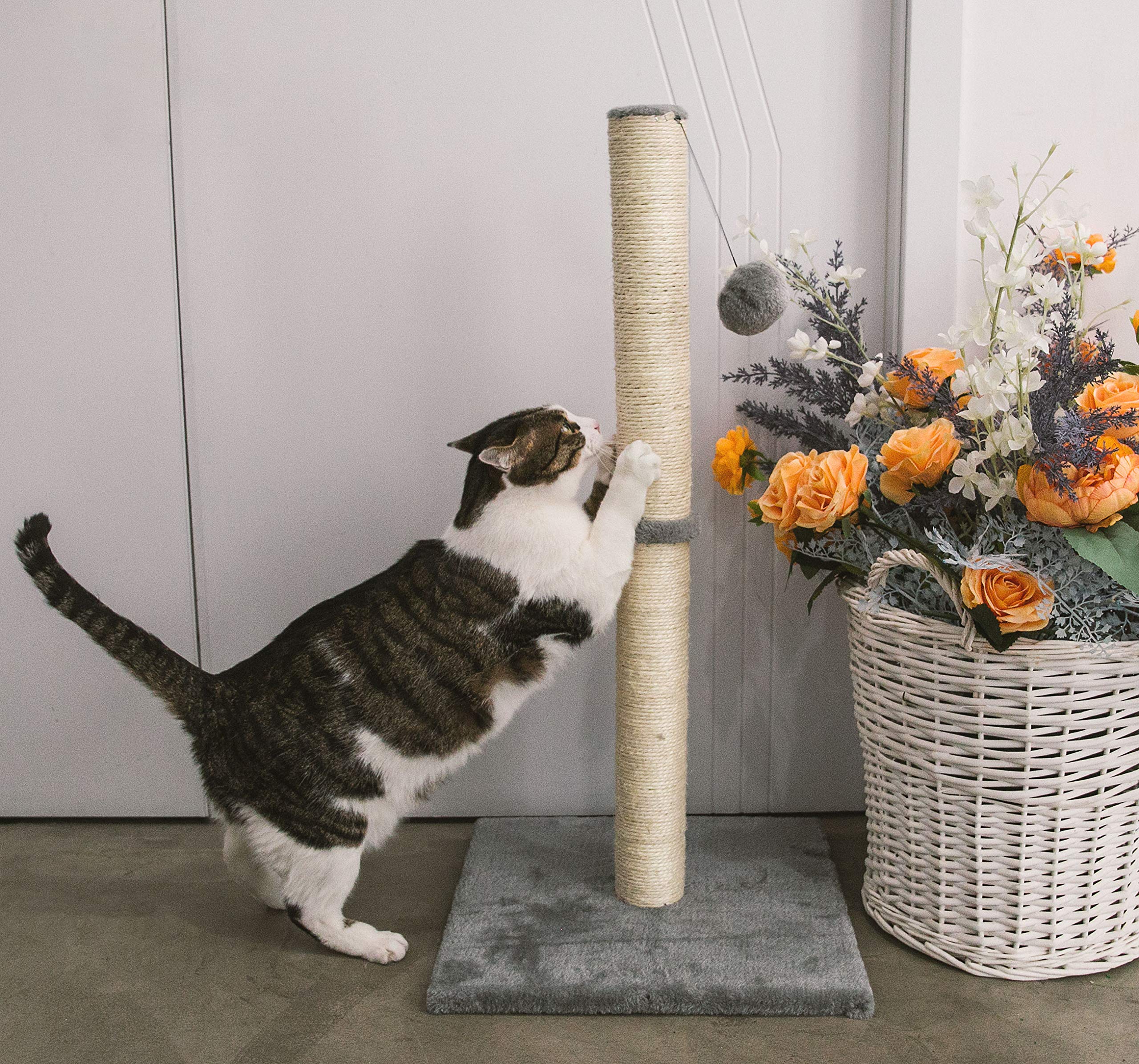 Qucey 32'' Tall Cat Scratching Post For Indoor Cats Premium Sisal Rope Cat Activity Scratcher Scratch Posts With Hanging Ball Fo