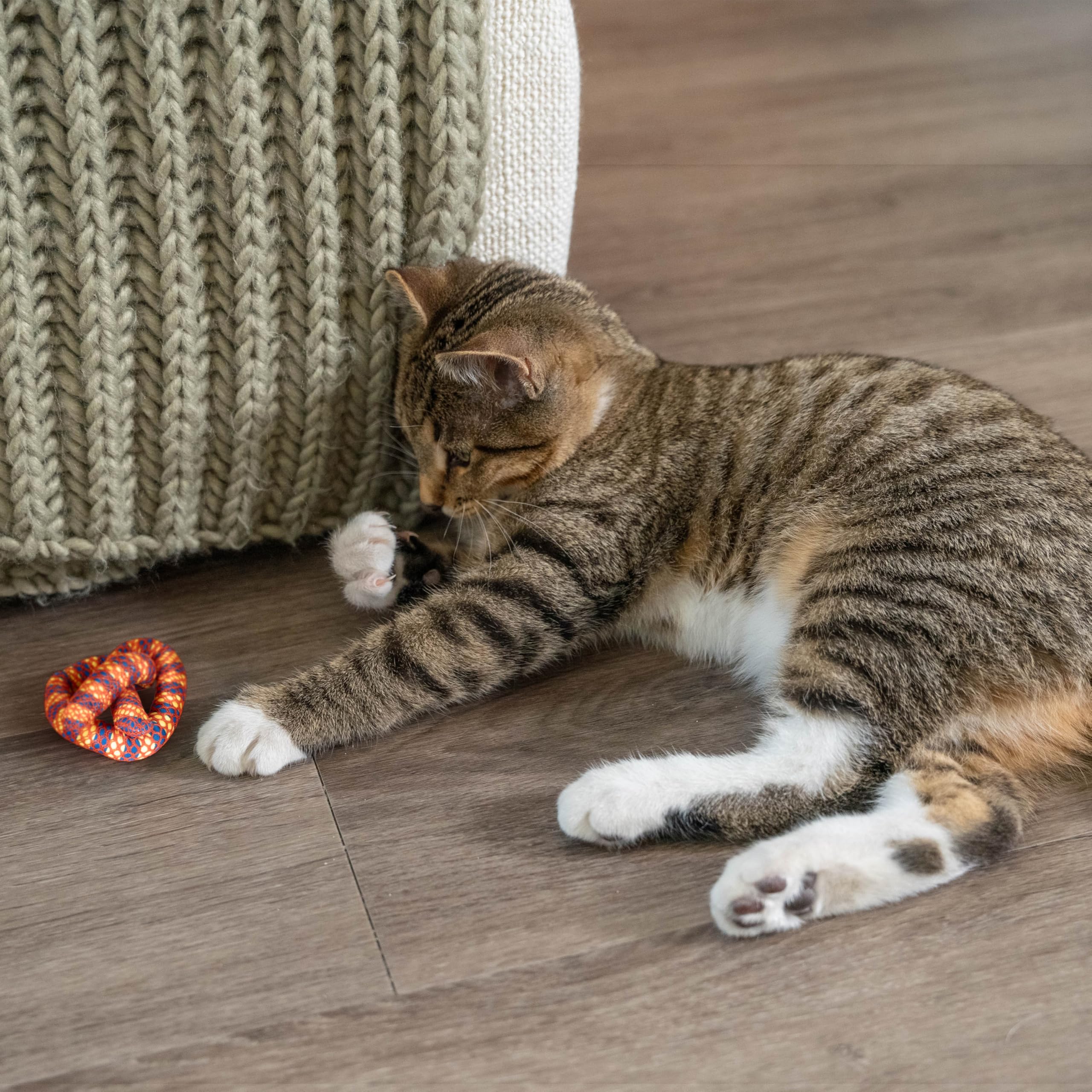 Catnip Plaque Away Pretzel Dental Cat Chew Catnip Toy, Orange