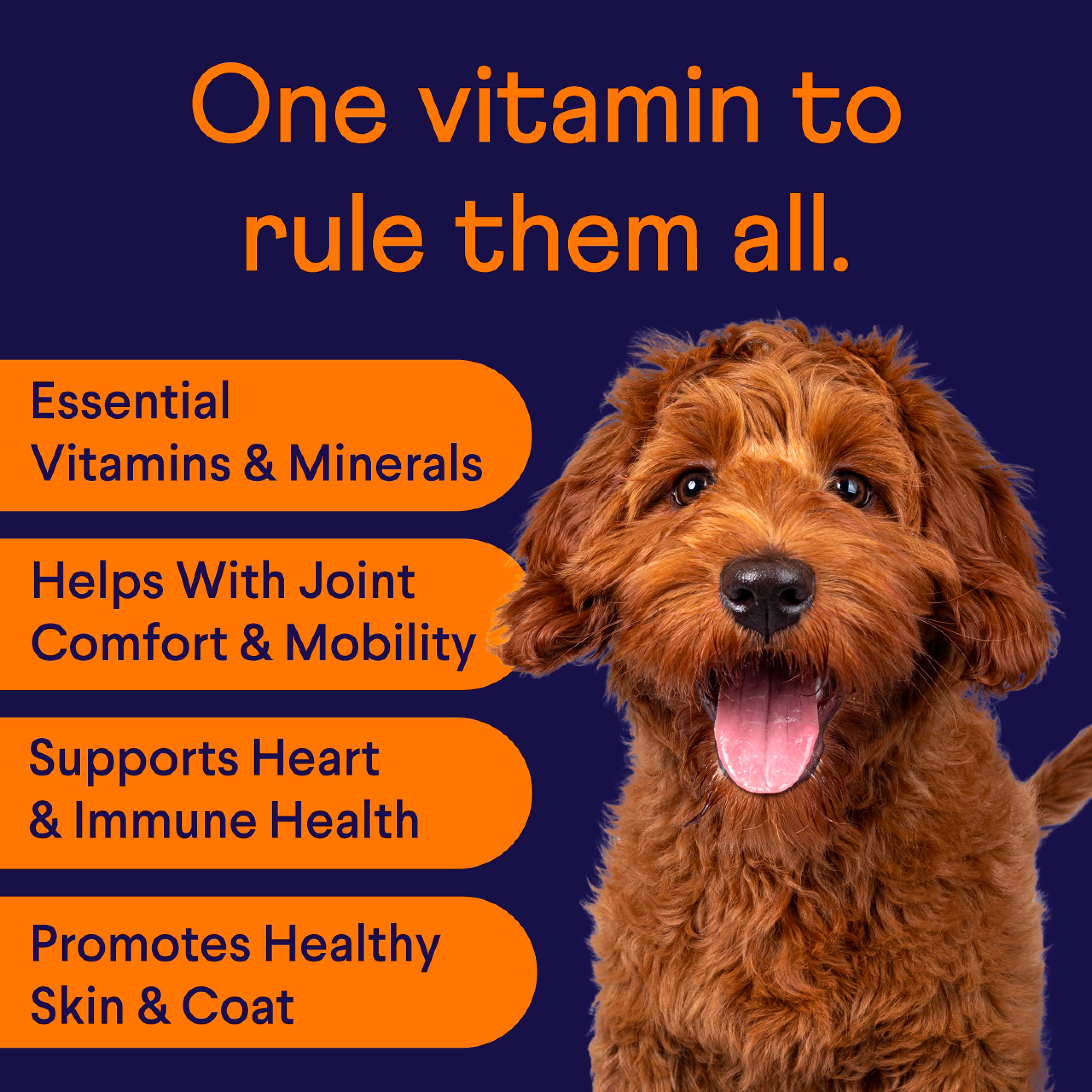 Finn All-in-1 Multivitamin for Dogs - Daily Multi with Probiotics, Omegas & Nutrients to Support Everyday Wellness - 90 Soft Che