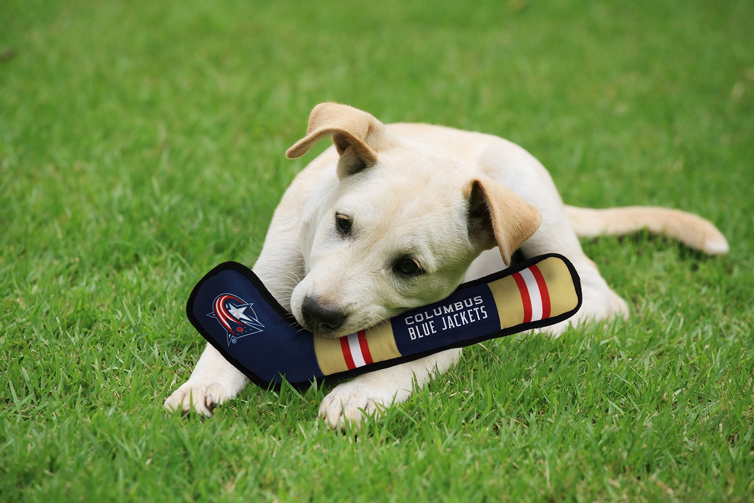 Pets First NHL Columbus Blue Jackets Stick Toy for Dogs & Cats. Play Hockey with Your Pet with This Licensed Dog Tough Toy Rewar