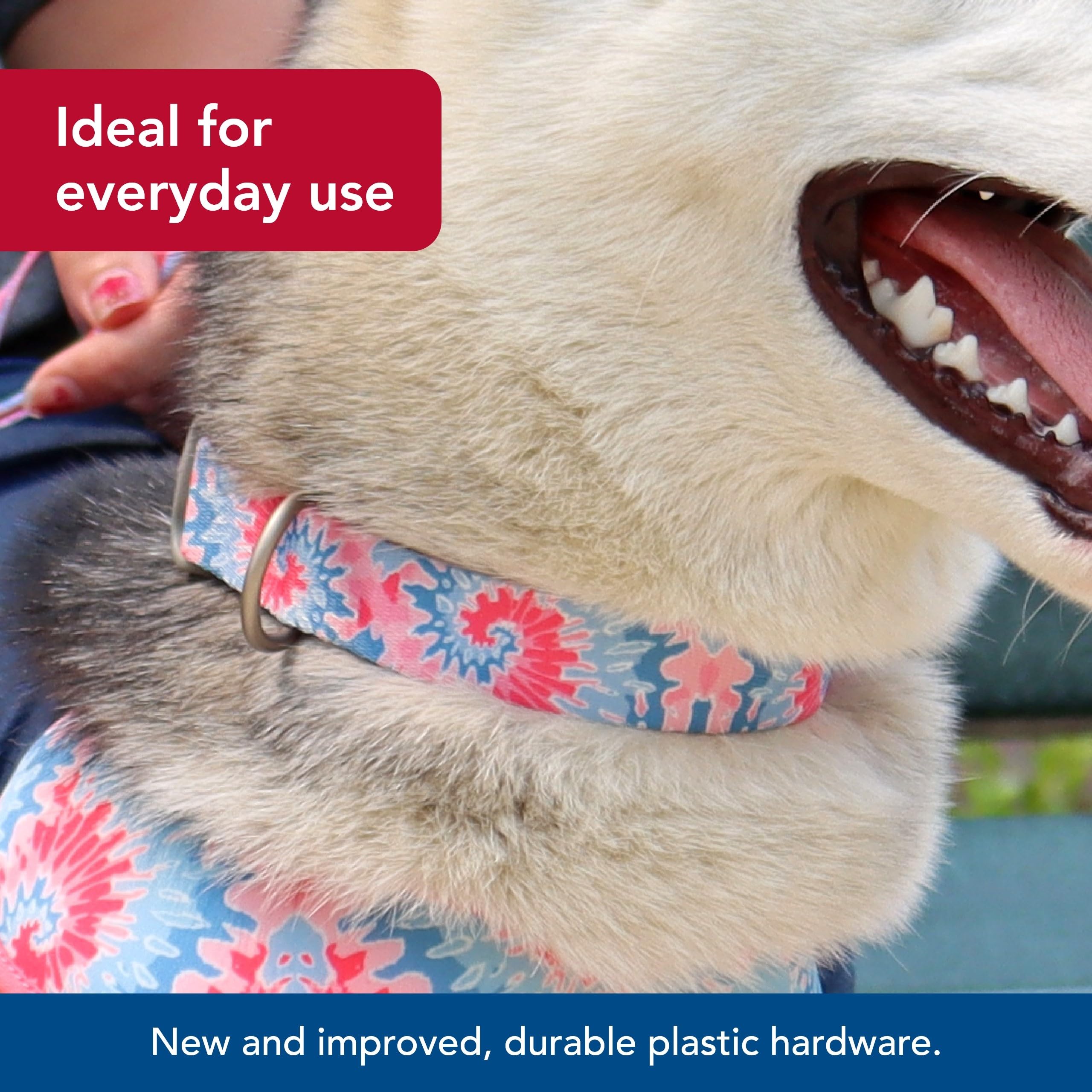 Coastal Pet Sublime Adjustable Dog Collar - Adjustable Plastic Buckle - Vibrant & Colorful Dog Collar With Fade-Resistant Patterns - Pink Tie Dye With Pink Arrows, Small - 3/4' X 8'-12'