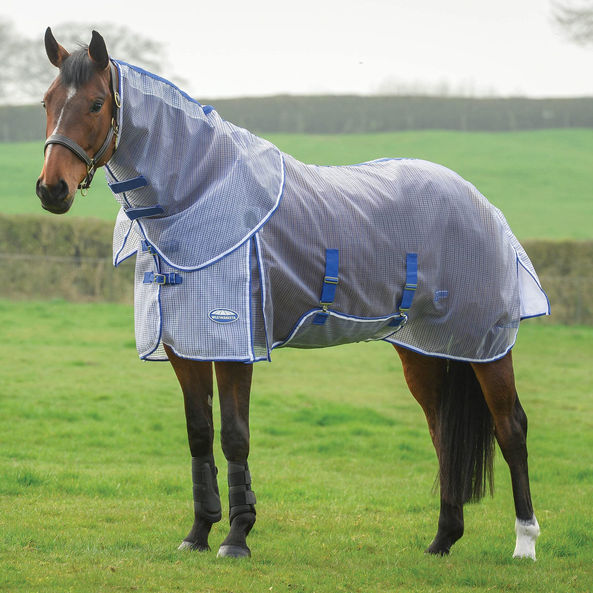 Weatherbeeta Comfitec Ripshield Plus With Belly Wrap Detach A Neck, White/Blue, 54''