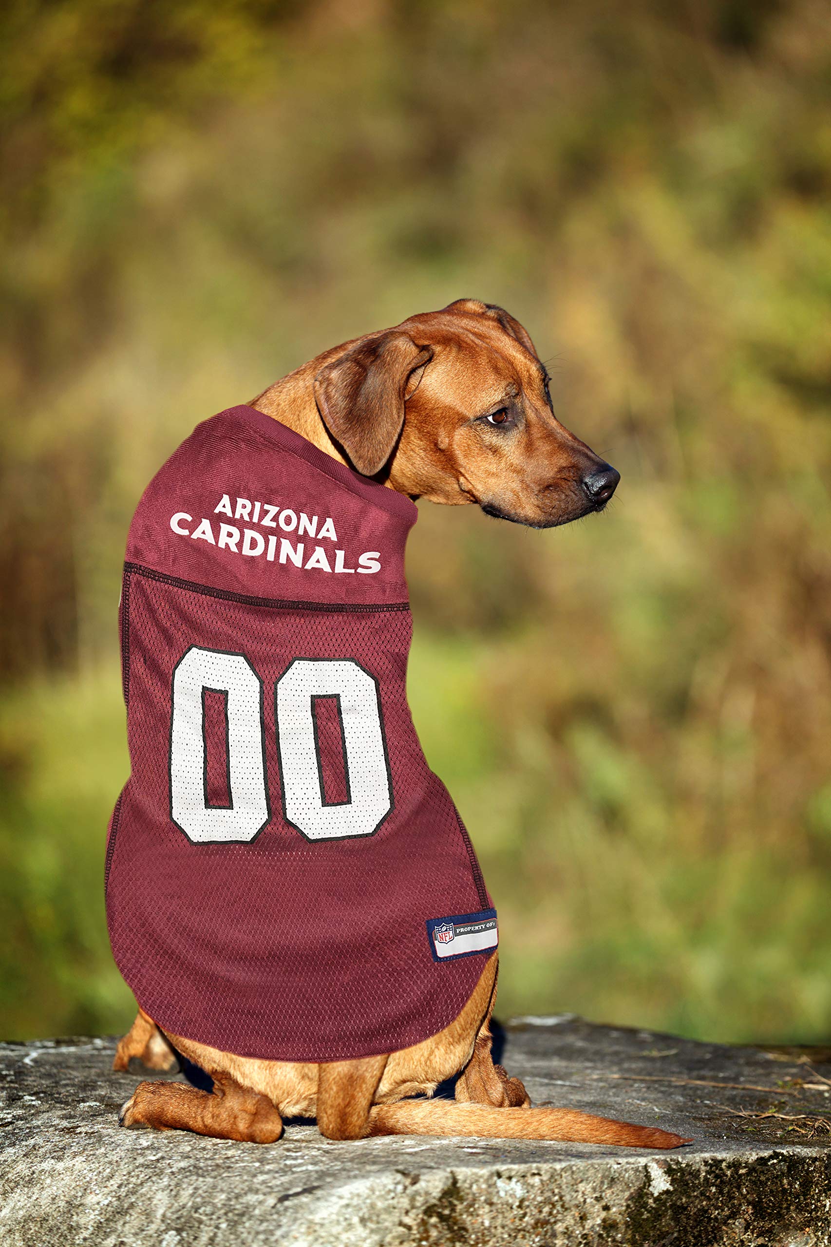 Nfl Arizona Cardinals Dog Jersey, Size: Medium. Best Football Jersey Costume For Dogs & Cats. Licensed Jersey Shirt