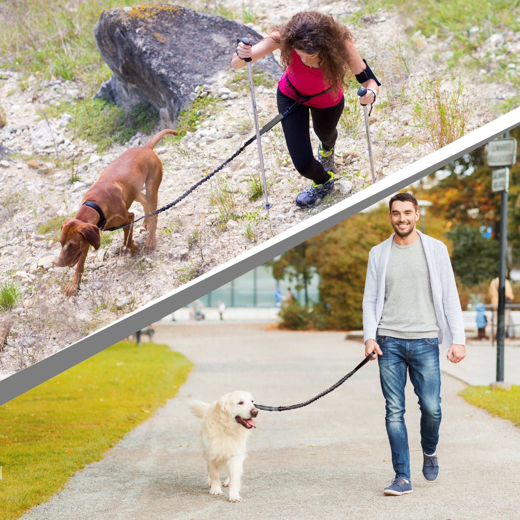 Sparklypets Hands Free Dog Leash For Medium And Large Dogs - Professional Harness With Reflective Stitches For Training, Walking, Jogging And Running Your Pet (Gray, For 1 Dog)