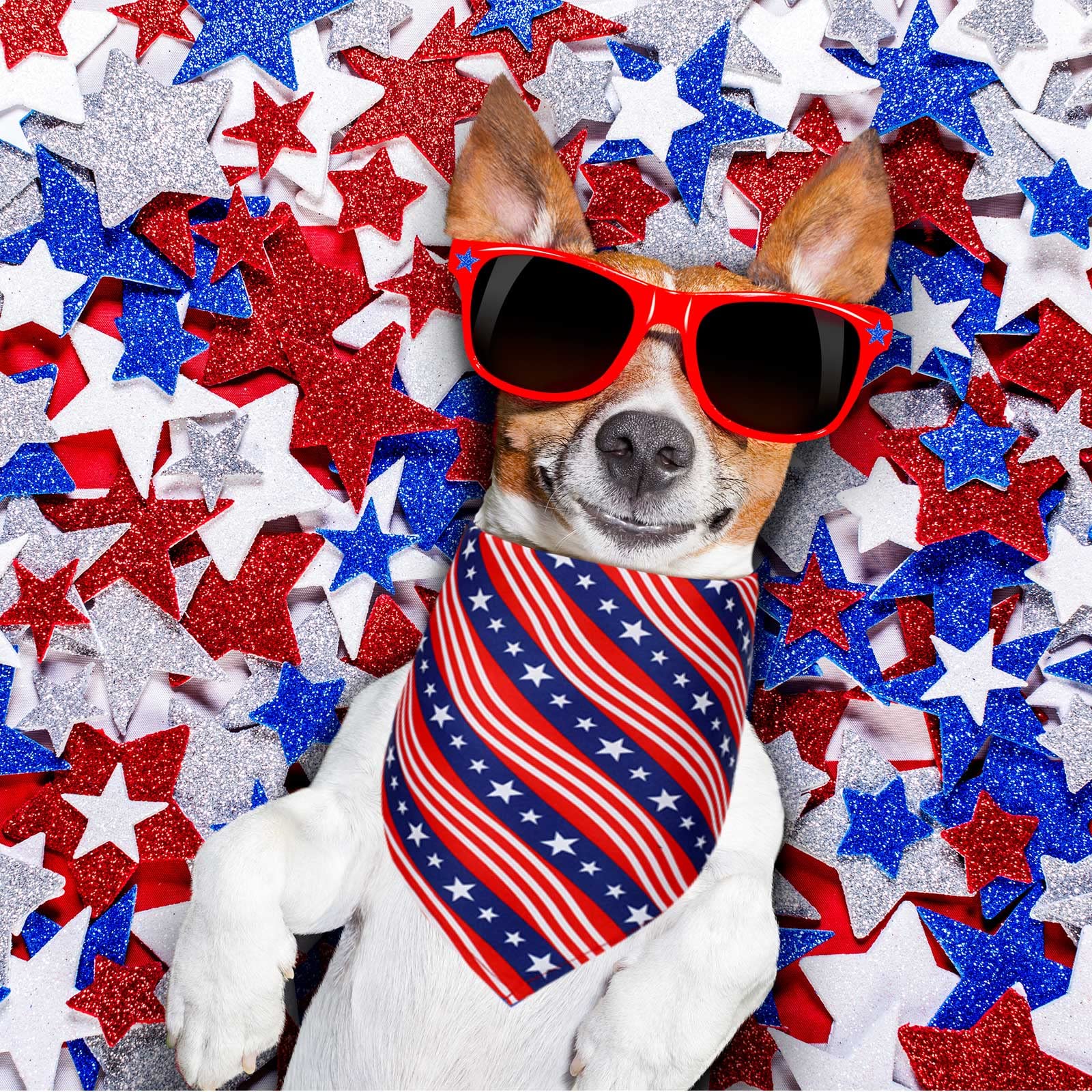 Weewooday 12 Pcs Patriotic Dog Bandana Fourth Of July Bandana For Dogs American Flag Memorial Day Independence Day Scarf Adjusta