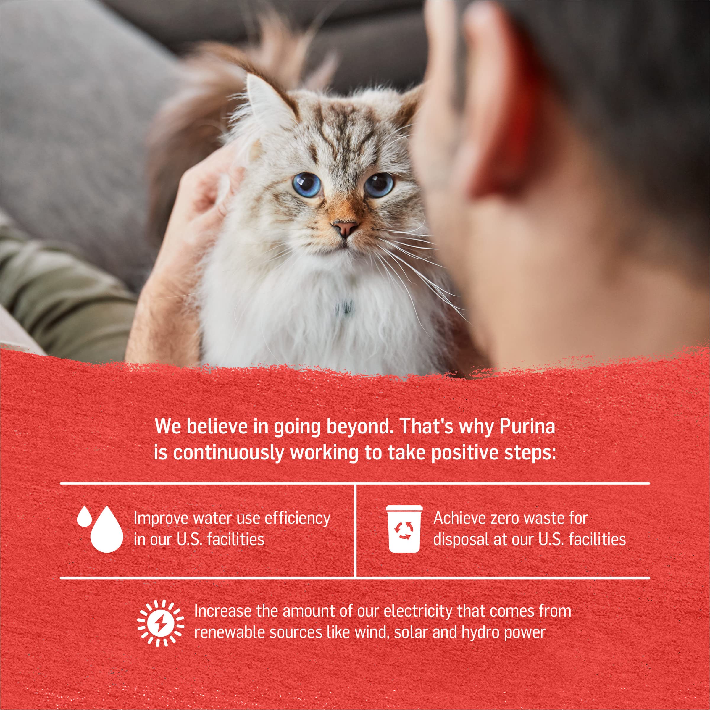 Purina Beyond Cage-Free Chicken, Beef and Carrot Recipe In Wet Cat Food Gravy - (Pack of 12) 3 oz. Cans