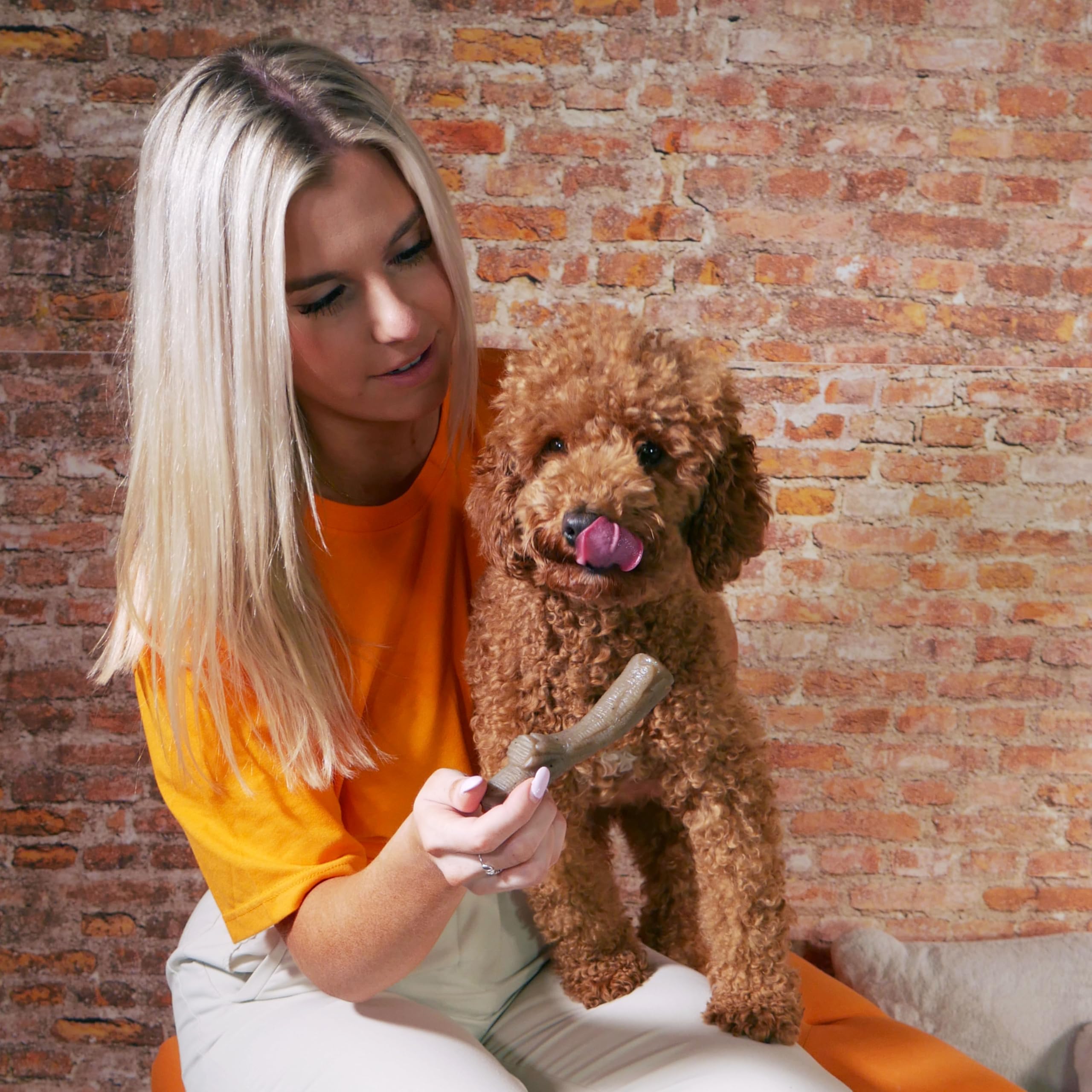 Nylabone Gourmet Style Stick Strong Chew Toy For Dogs, Peanut Butter Flavor, Medium - Up To 35 Lbs, 1 Count