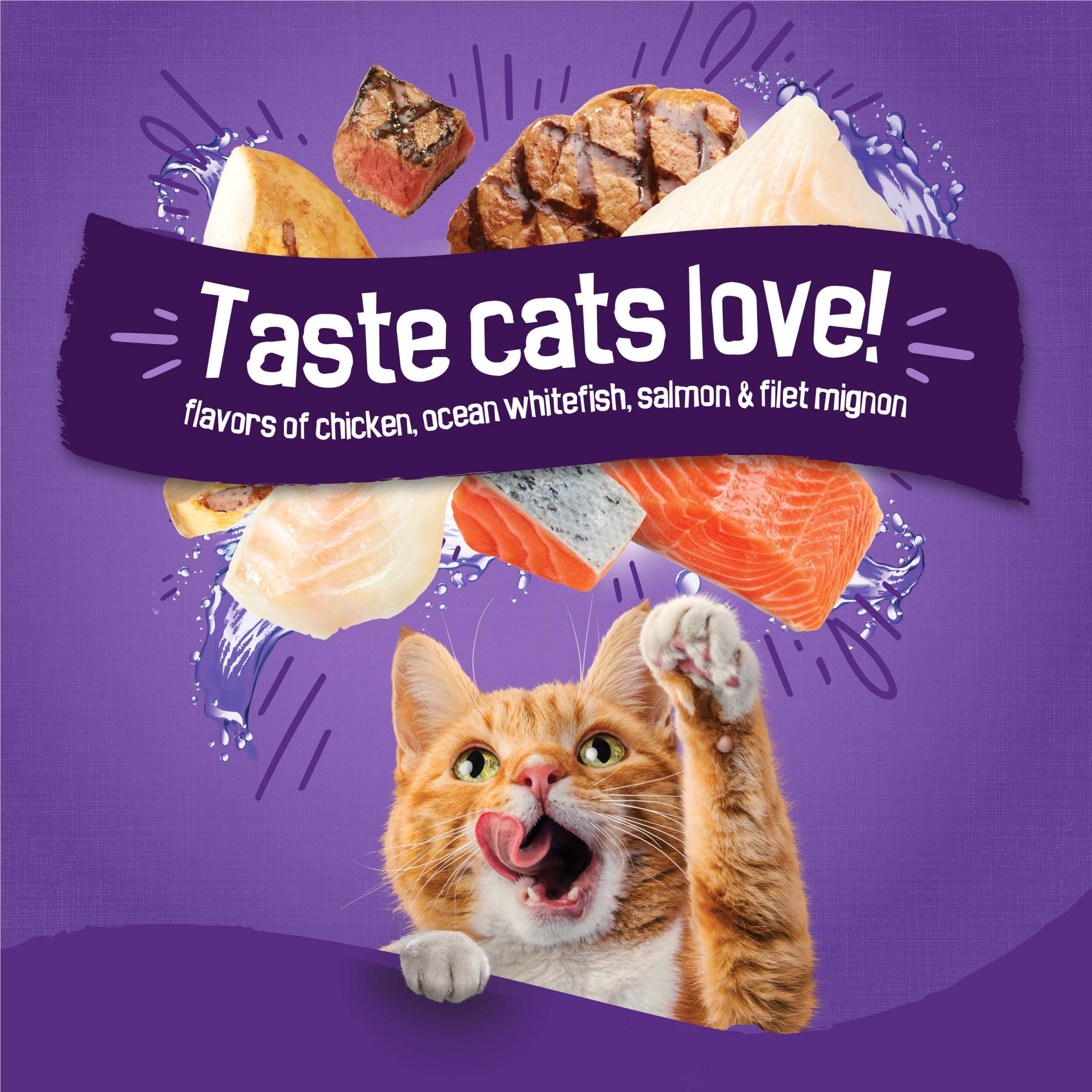 Purina Friskies Dry Cat Food, Surfin & Turfin Favorites - 16 lb. Bag