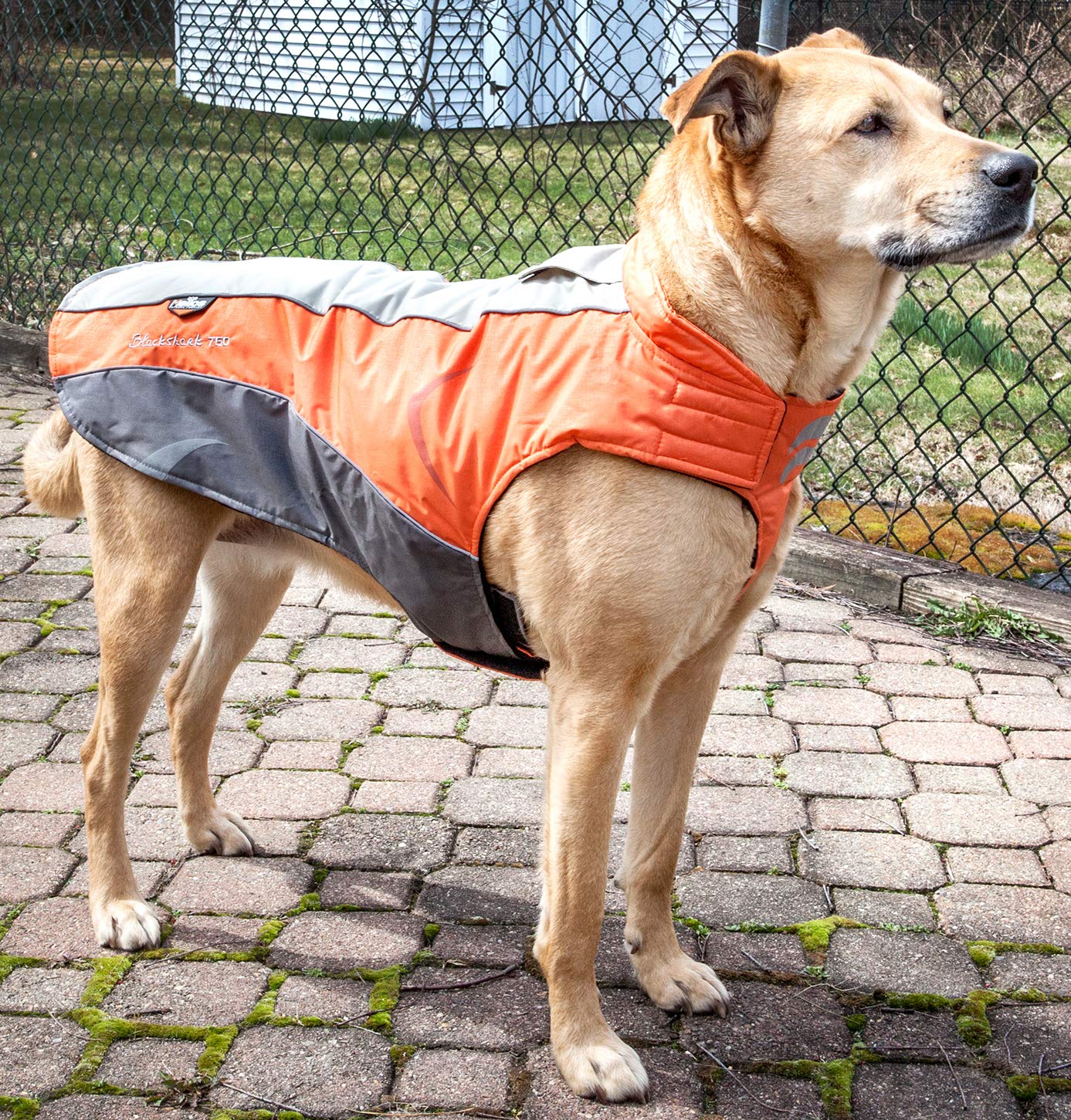 DOGHELIOS Altitude-Mountaineer Wrap-hook and loop Protective Waterproof Pet Dog Coat Jacket w/ Blackshark Technology, X-Small,