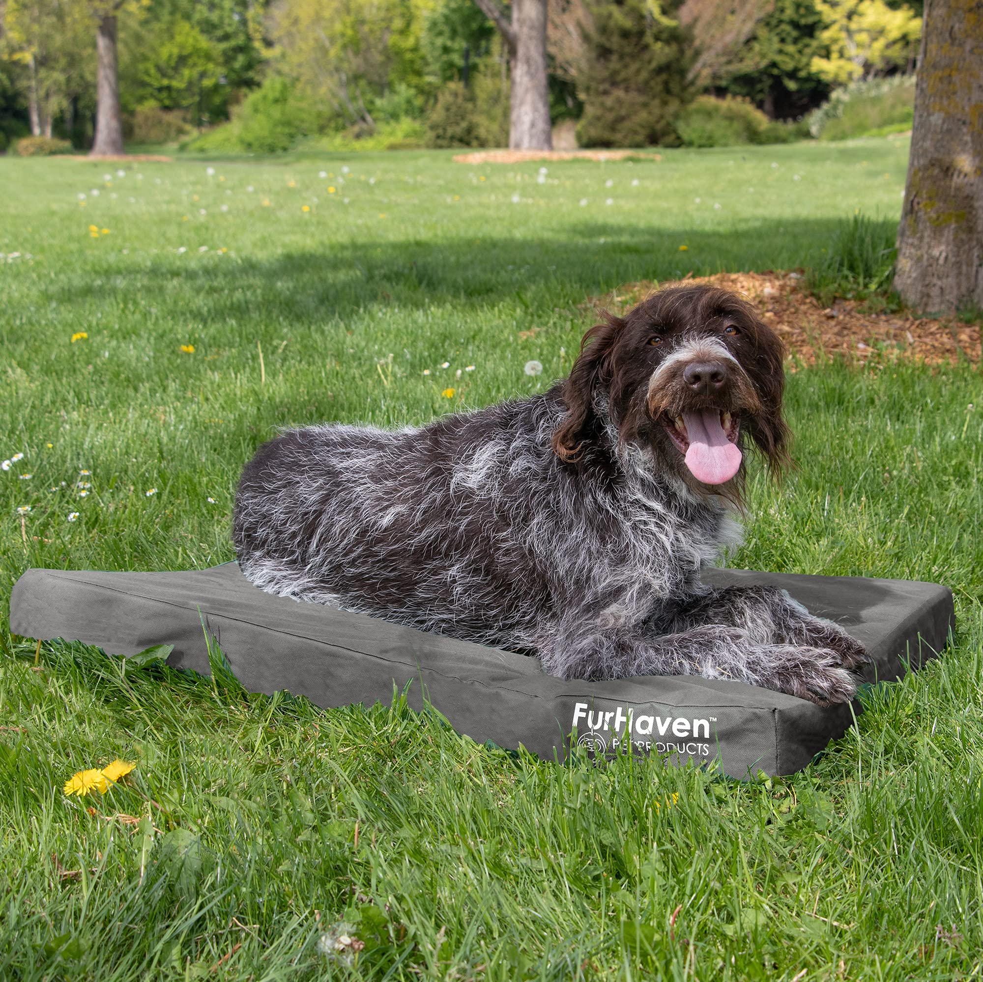 Furhaven Water-Resistant Orthopedic Dog Bed for Large/Medium Dogs w/ Removable Washable Cover, For Dogs Up to 55 lbs - Indoor/Ou