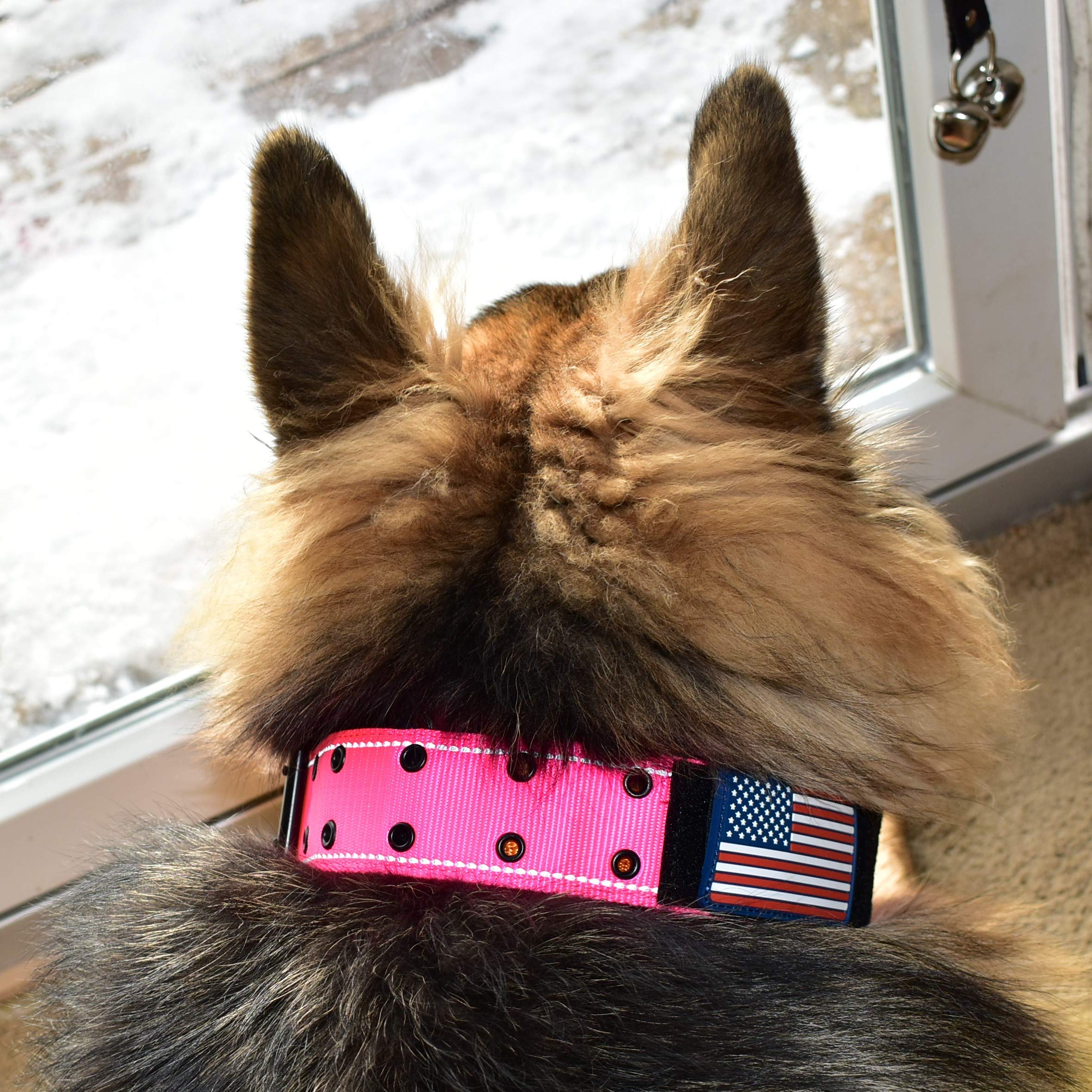 2' Personalized Tactical Dog Collar - Wide Thick Military Style With Strong Belt Buckle Closure - American Flag Patch - Reflective - Med And Xl Sizes For Large And Giant Dogs