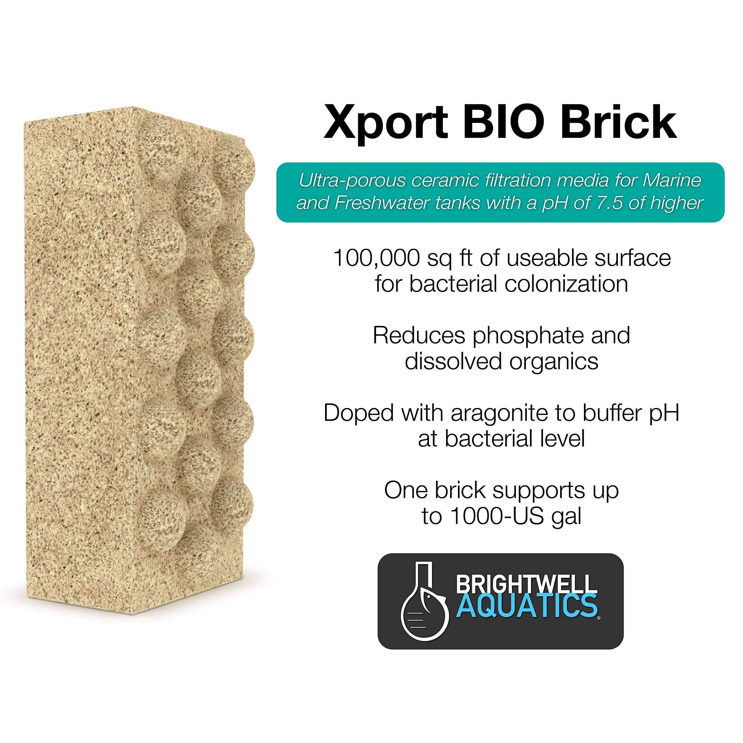 Brightwell Aquatics Xport BIO Dimpled Brick - Ultra-Porous Biological Brick Media for Marine and Freshwater Aquarium (XPBRICBIO)