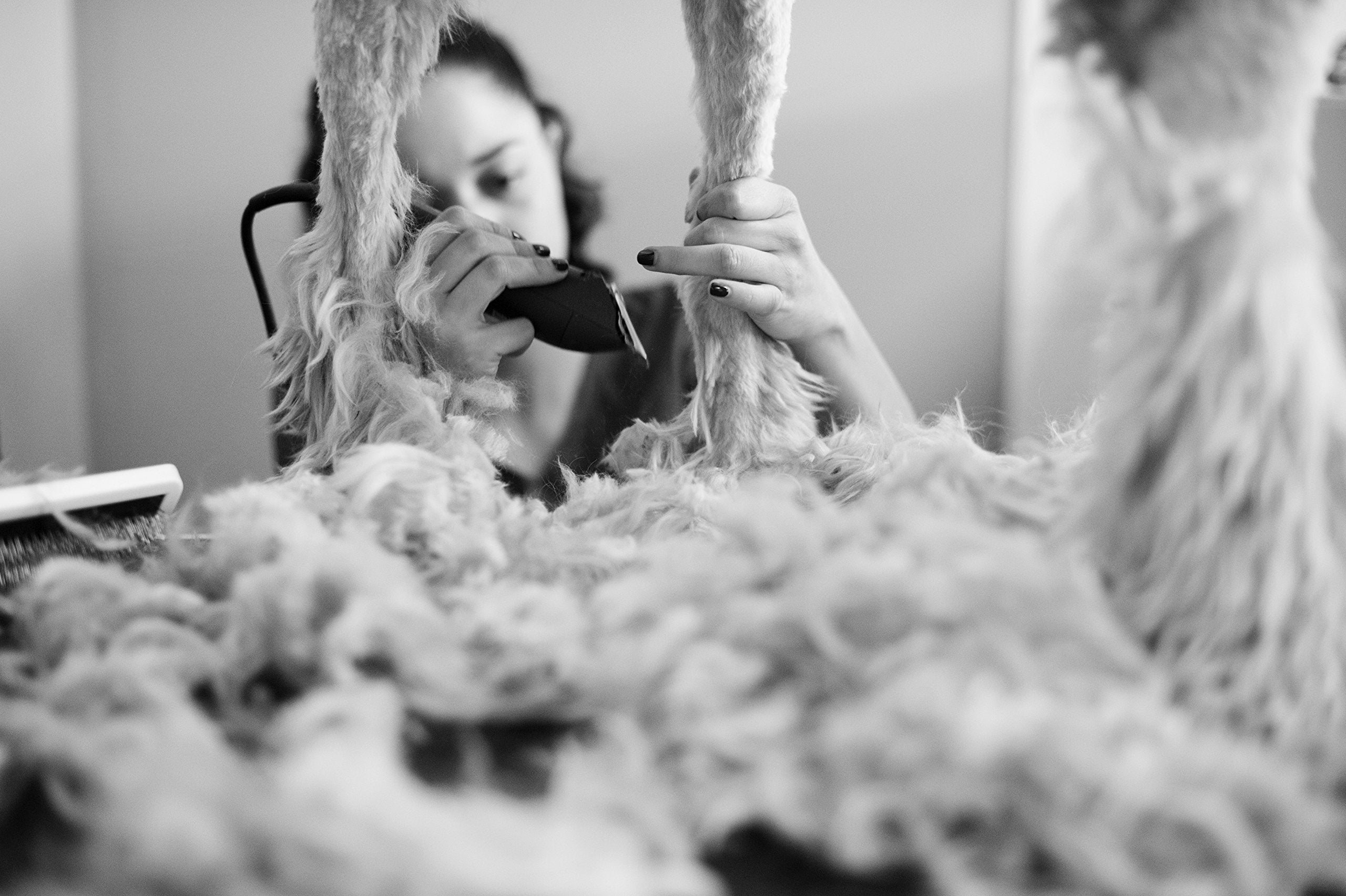 Andis Ultraedge Super 2-Speed Detachable Blade Clipper, Professional Animal/Dog Grooming, Agc2 (23280)