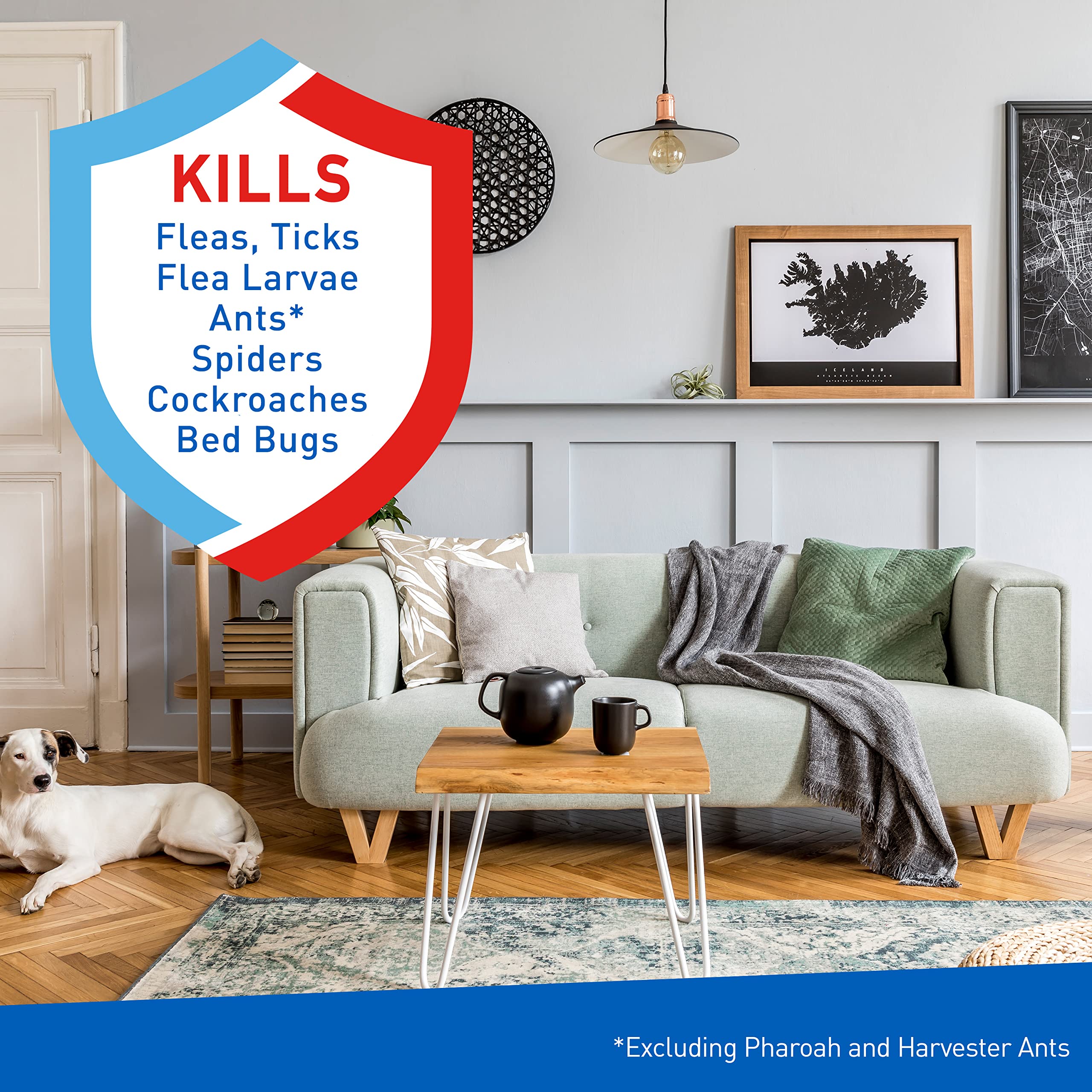 Adams Flea & Tick Carpet & Home Spray, Kills Fleas, Silverfish, Spiders, Ticks, Ants, Crickets, Bed Bugs & Others Listed Nuisanc