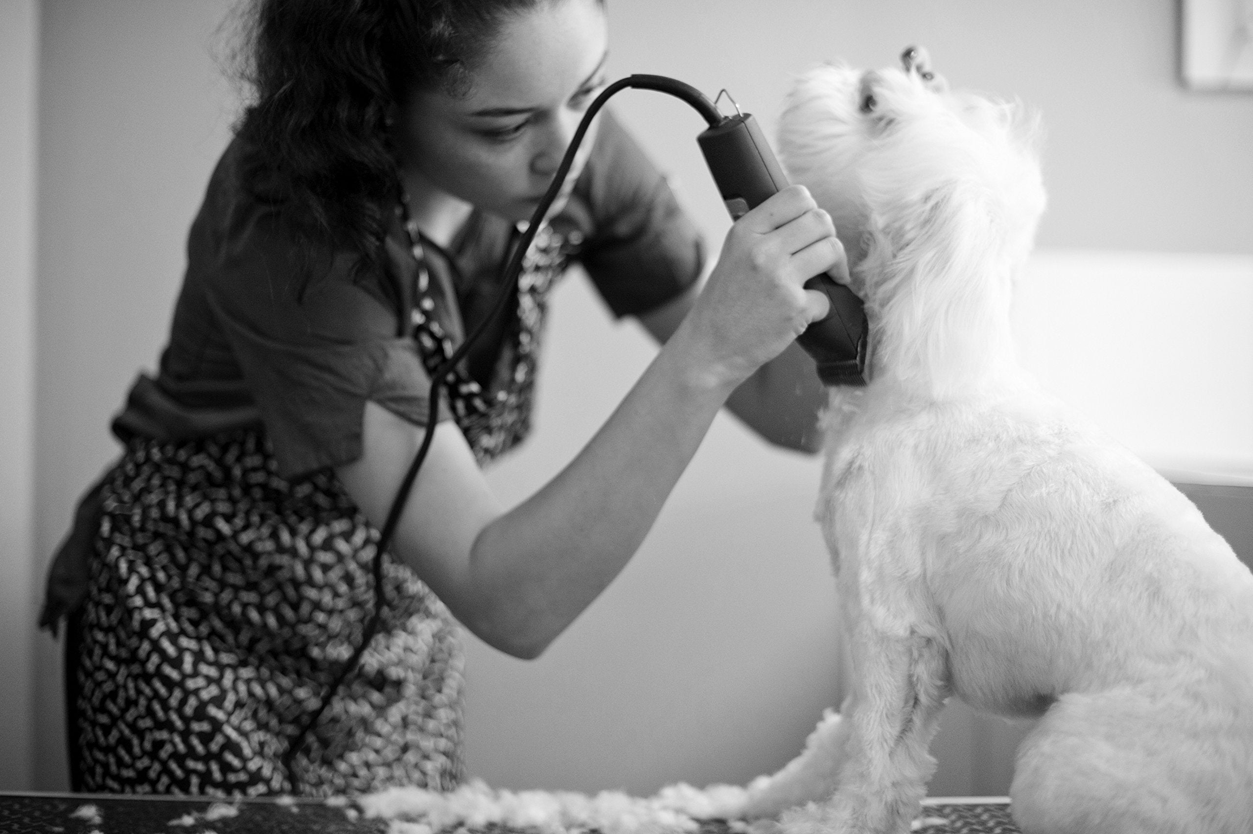 Andis Ultraedge Super 2-Speed Detachable Blade Clipper, Professional Animal/Dog Grooming, Agc2 (23280)