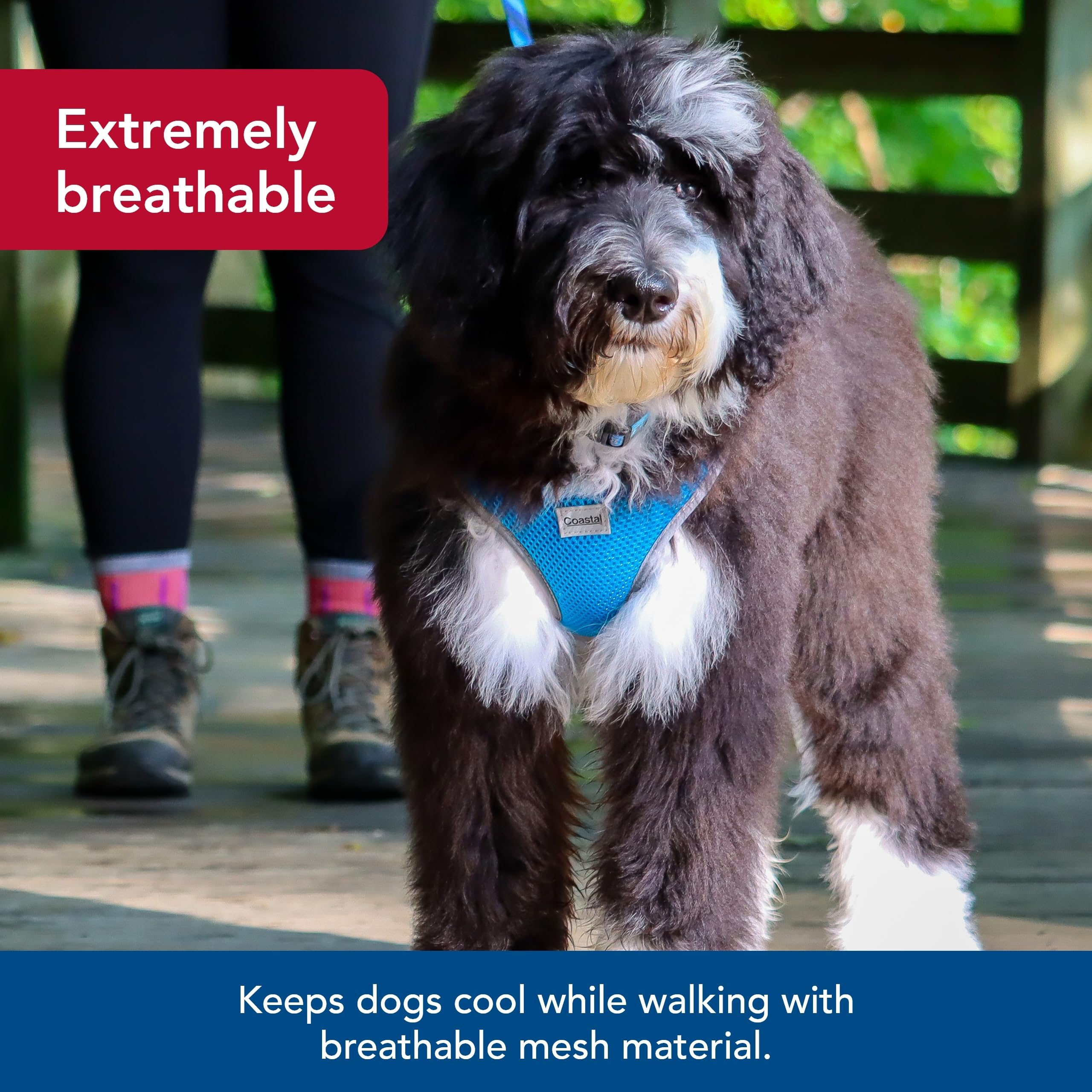 Coastal Pet Comfort Soft Reflective Wrap Adjustable Dog Harness - No-Pull Dog Harness For Small & Large Dogs - Blue Lagoon - 3/4' X 20'–29'