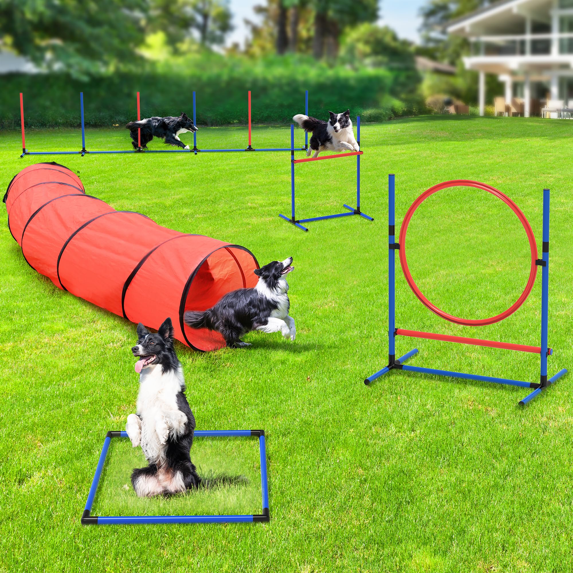 Yitahome Dog Agility Kit: Includes Flirt Pole Accessorie, 2 Hurdles, 3 Frisbees, 6 Weaving Poles, 1 Agility Tunnel, Pause Box, F