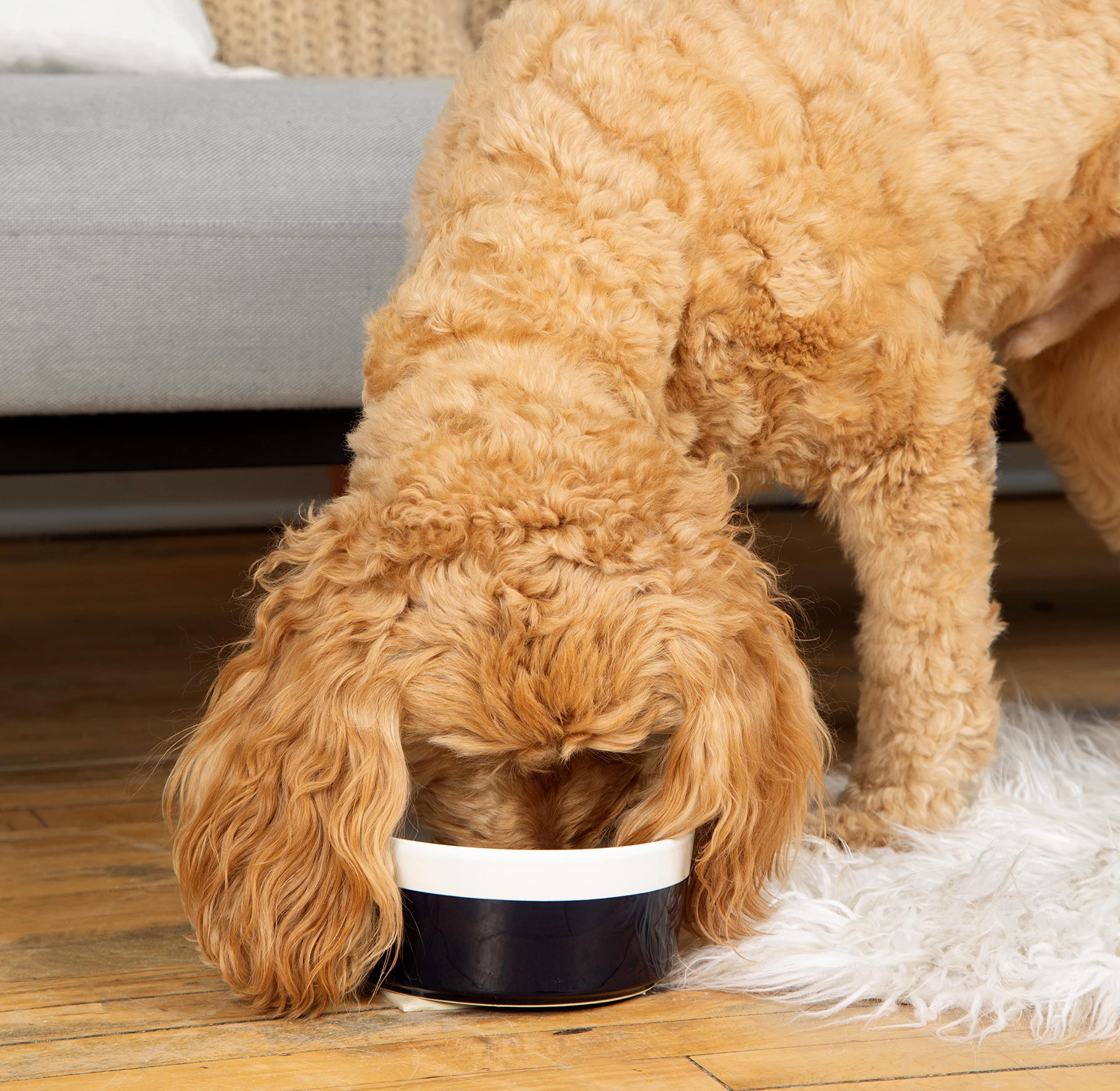 Waggo Dipper Ceramic Dog Bowl for Small and Large Breeds - Heavyweight and Durable Pet Food and Water Dish Crock, Dishwasher Saf