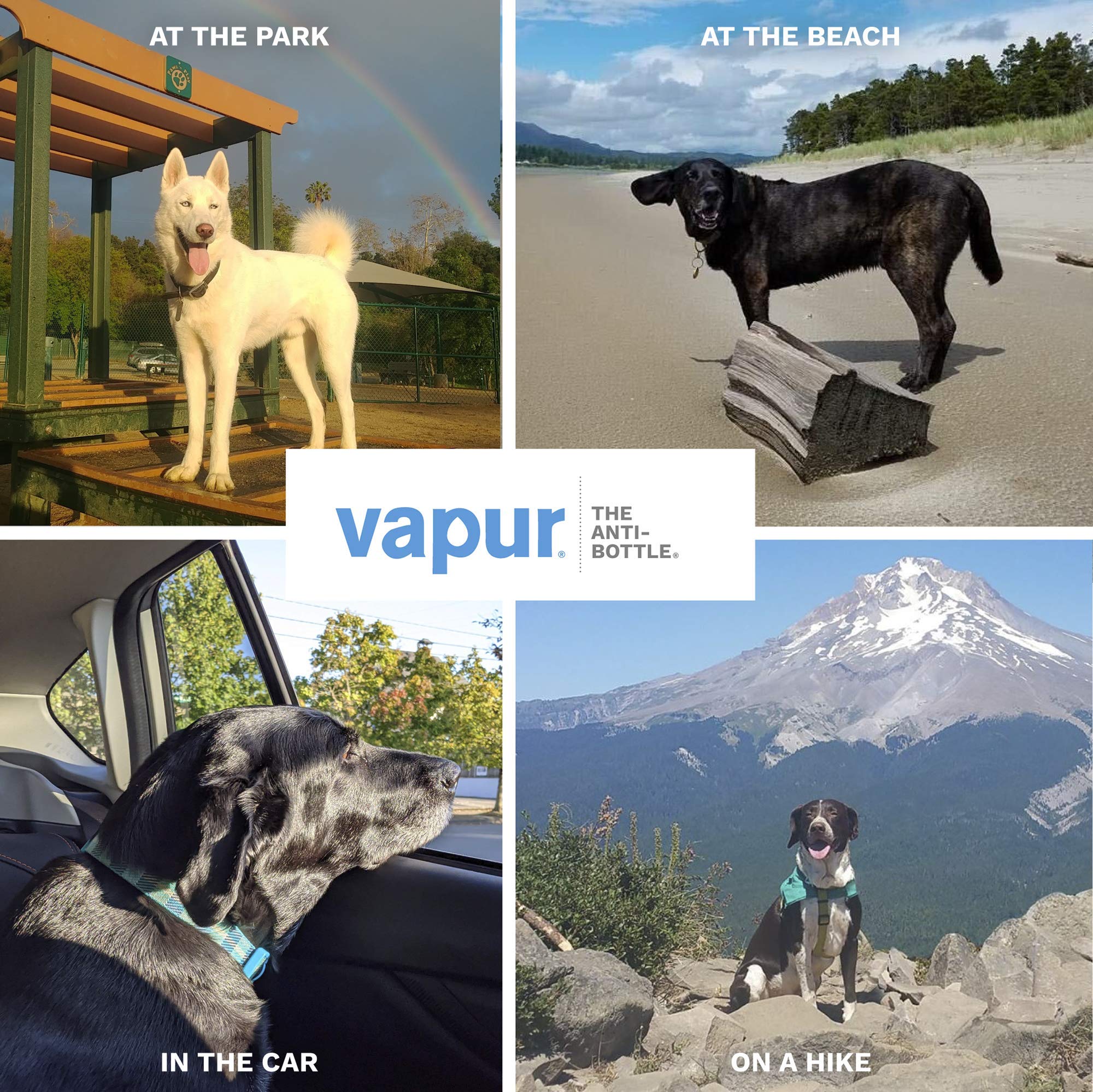 Vapur Ez Lick Flexible, Collapsible Dog Water Bottle With Patented Lick Activated Technology, Portable Hydration Water Dispenser For Walks, Hikes, And Travel, 23 Ounce, Whiteout, Pack Of 1