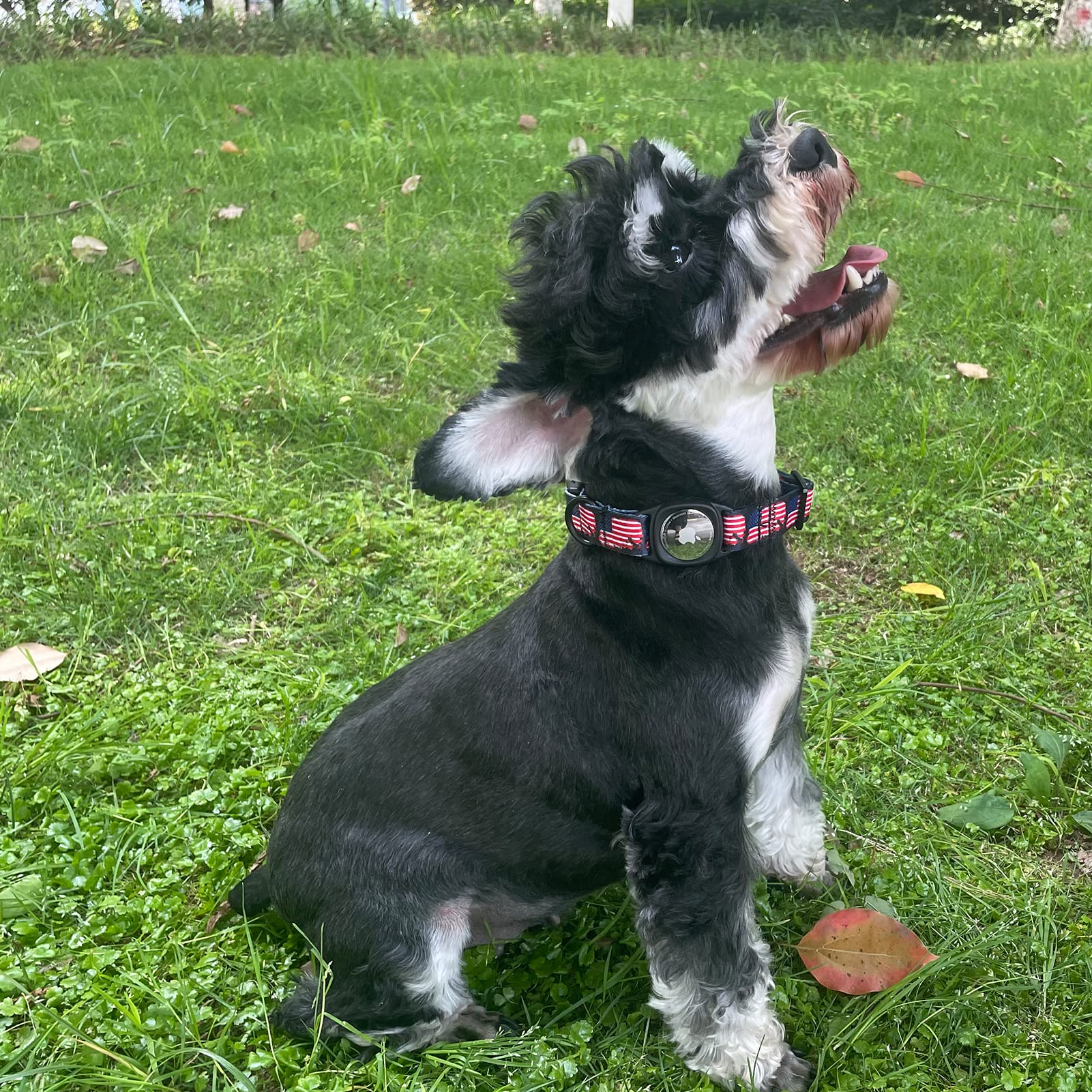 Mr.Chubbyface 4Th Of July Airtag Dog Collar Summer Dog Collars With Apple Airtag Holder For Small Medium Large Dogs