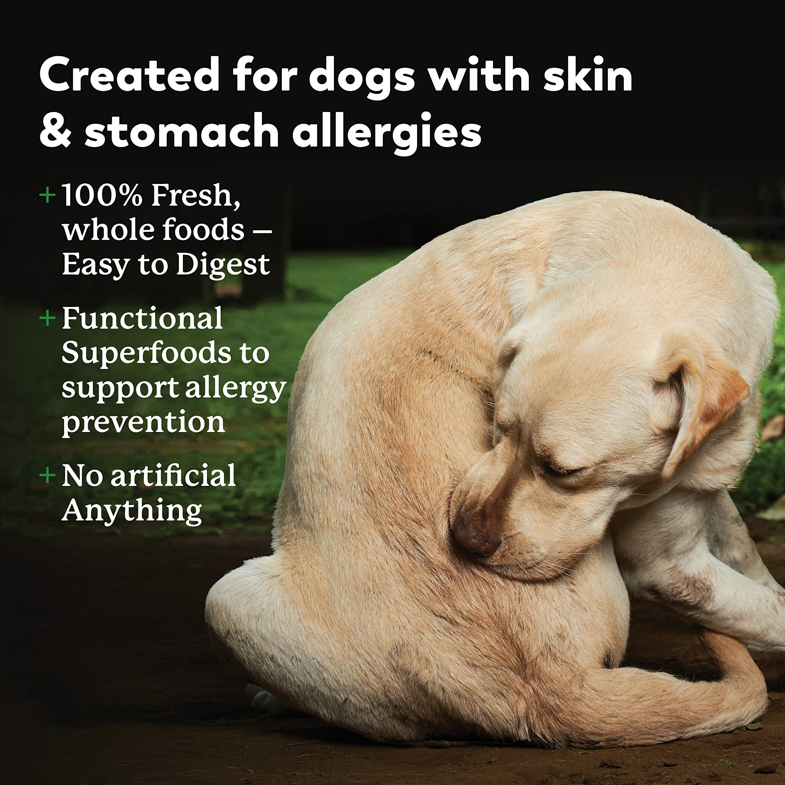Dr. Harveys Specialty Diet Limited Ingredient - Human Grade Dog Food for Dogs with Sensitivities - Salmon Recipe (5 Pounds)