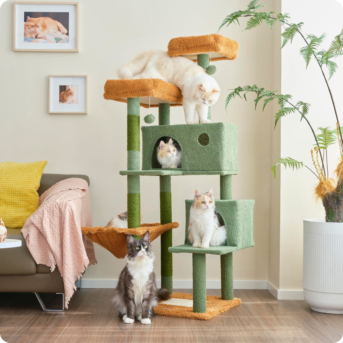Ouritsu Cat Tree, 57 Inch Cat Tower For Large Cat Indoor, 2 Top Perches With 1 Widened, 2 Condos With 1 Enlarged, Steel Frame Ha