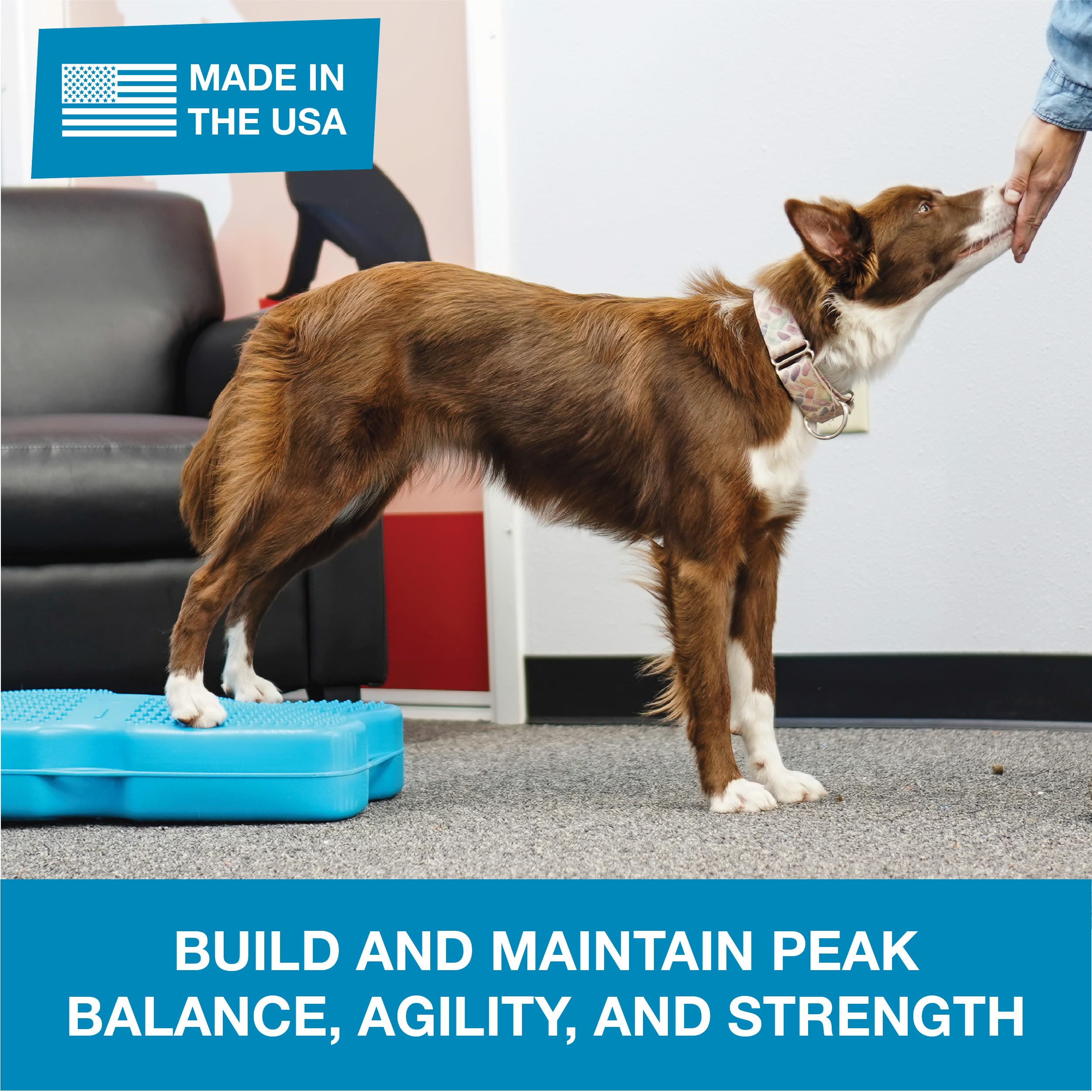 Blue-9 Propel Air Platform Kit, Professionally Designed Dog Training Accessories And Pet Products, Made In The Usa, Turquoise