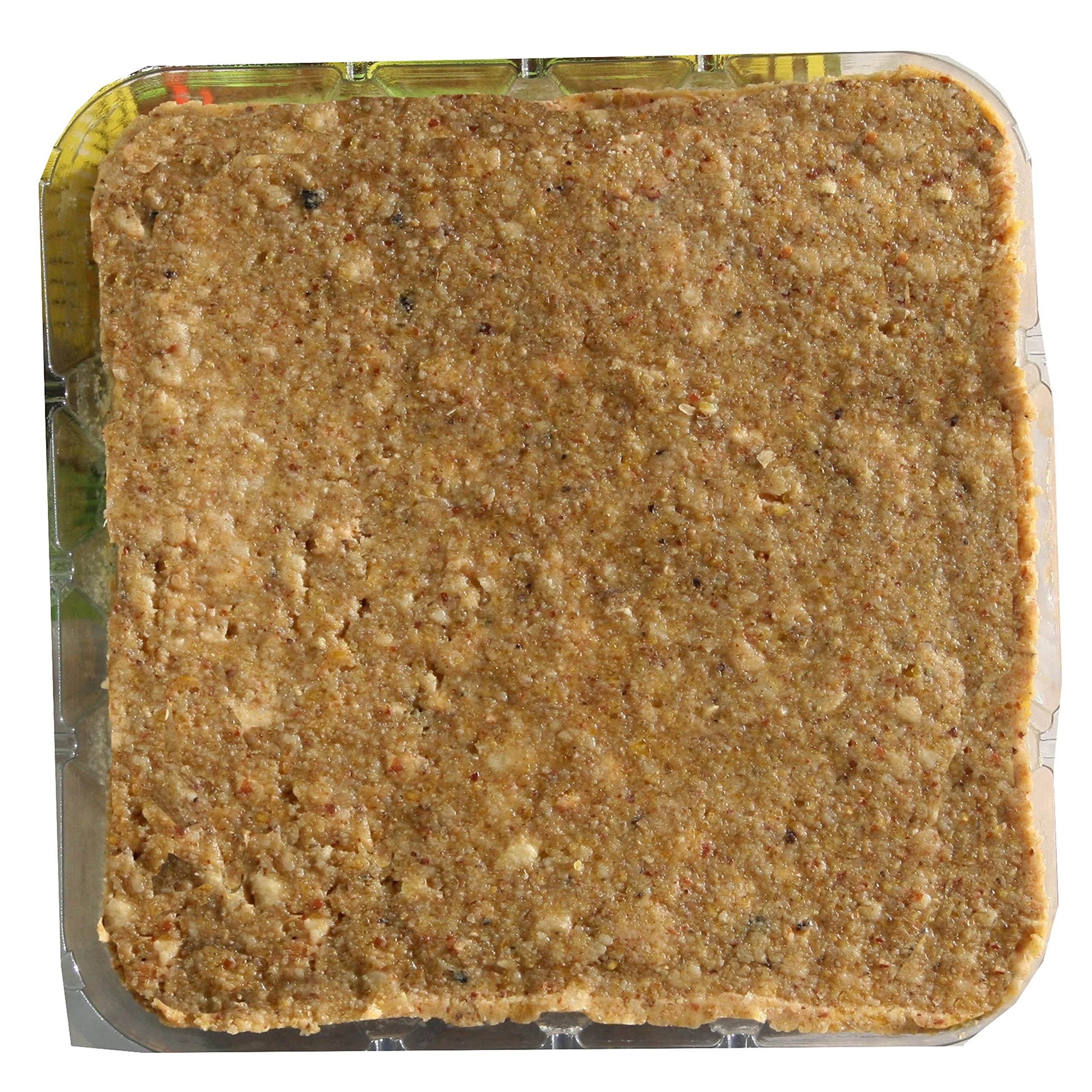 C&S Woodpecker Delight No Melt Suet Dough 11.75 Ounces, 12 Pack